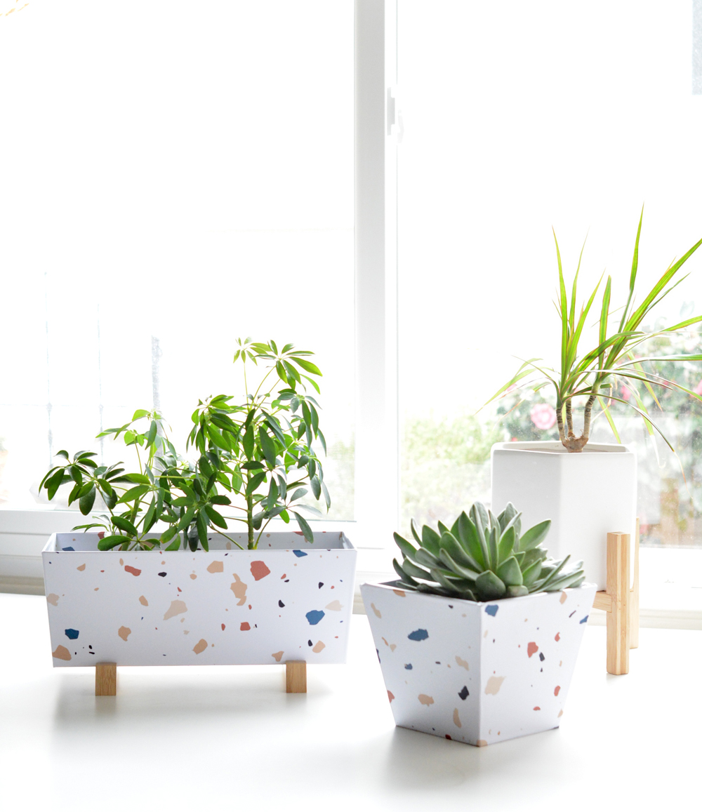 Planter Wallpapers - Wallpaper Cave