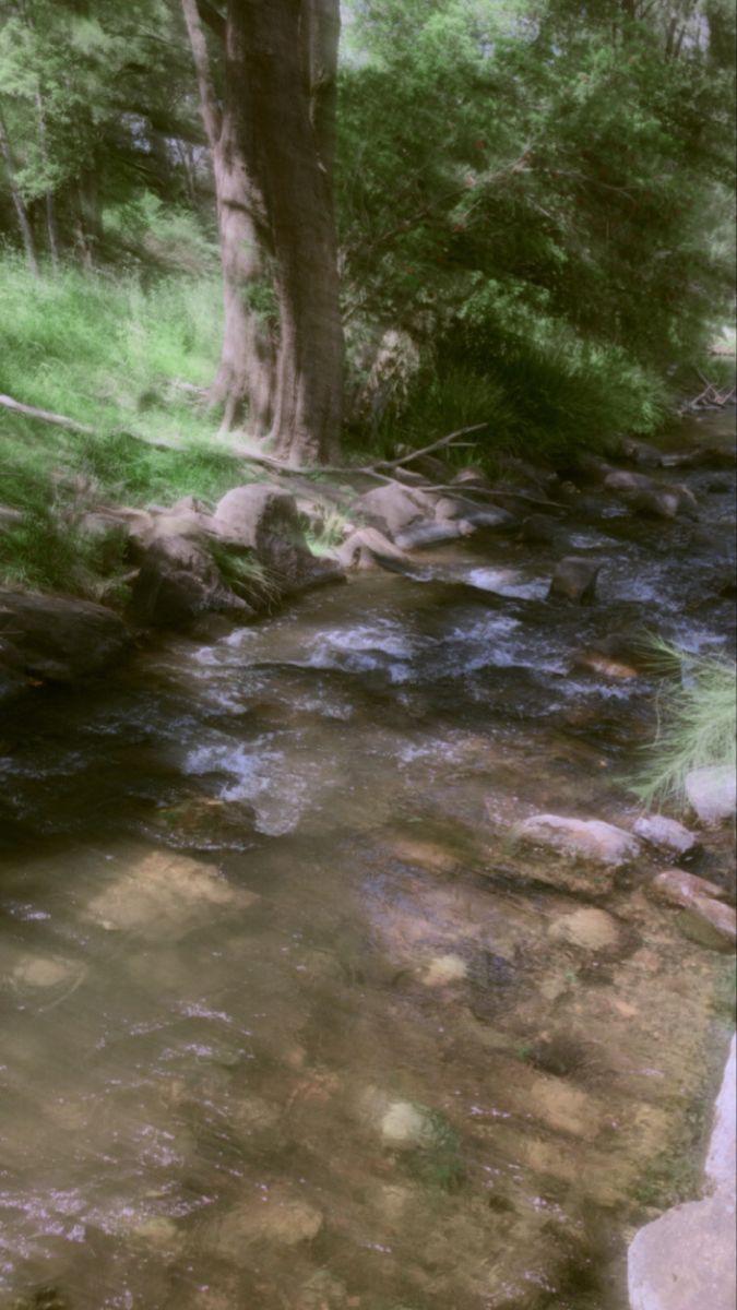 Fairy core ideas. fairy aesthetic, dark aesthetic, dark fairycore