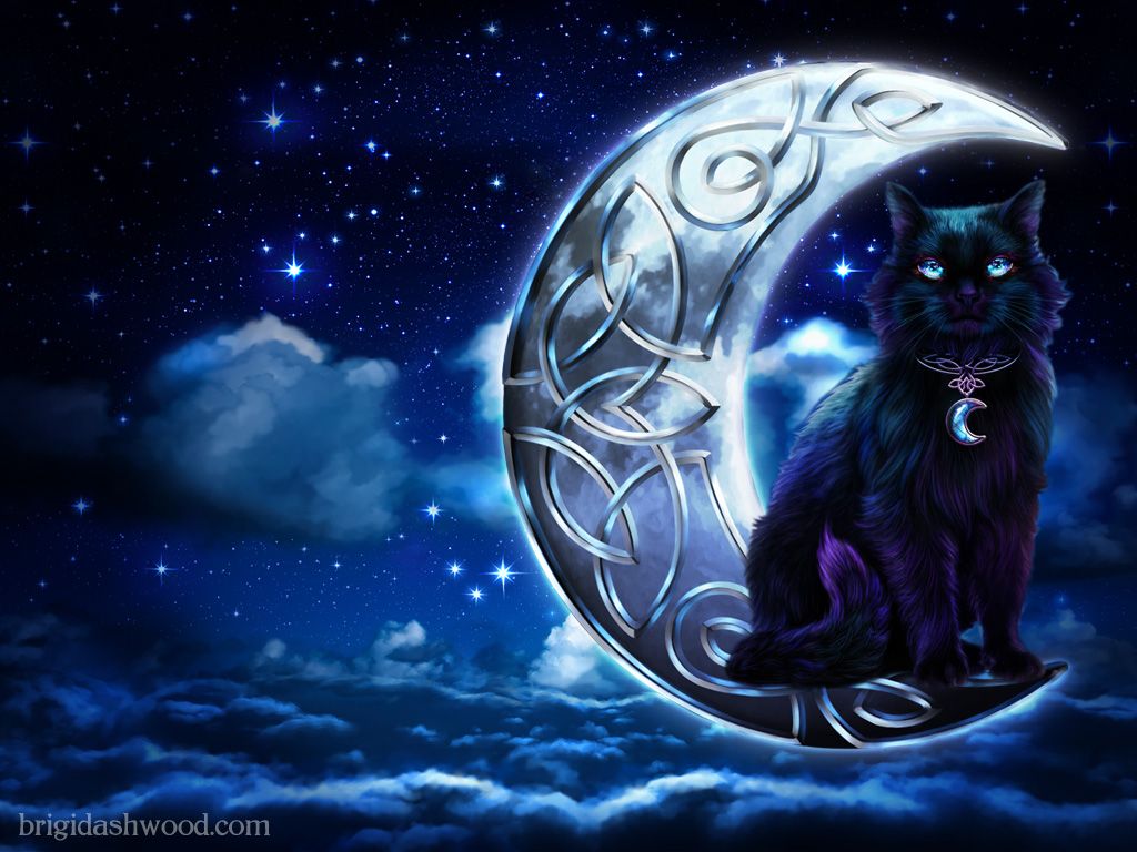 Cat and Moon Wallpaper Free Cat and Moon Background