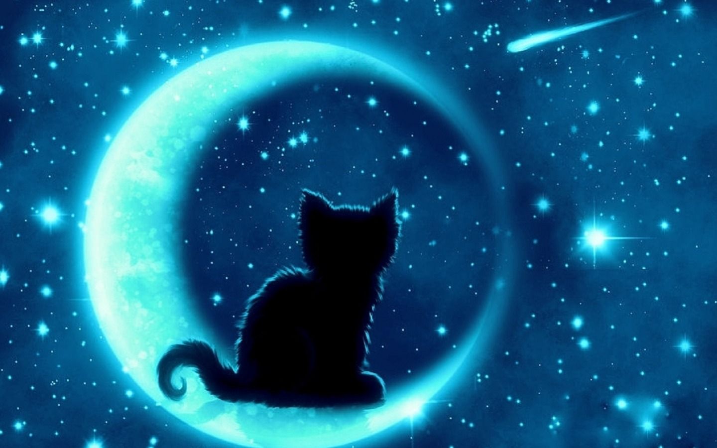 Cat And Moon Wallpapers - Wallpaper Cave