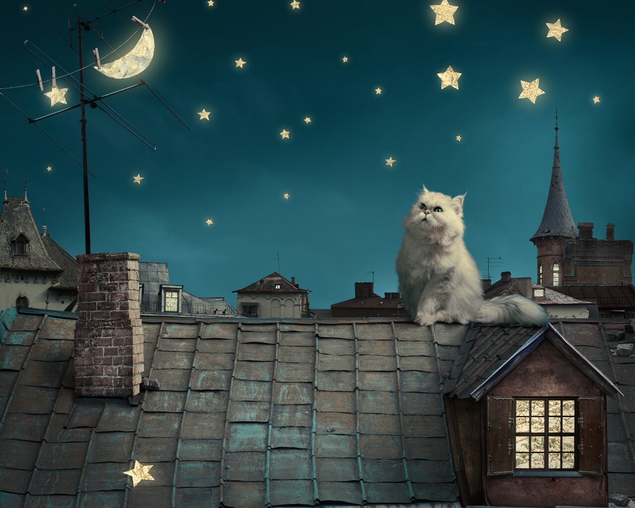 Cat Moon Stars Digital Art Dreamy 5k 1280x1024 Resolution HD 4k Wallpaper, Image, Background, Photo and Picture