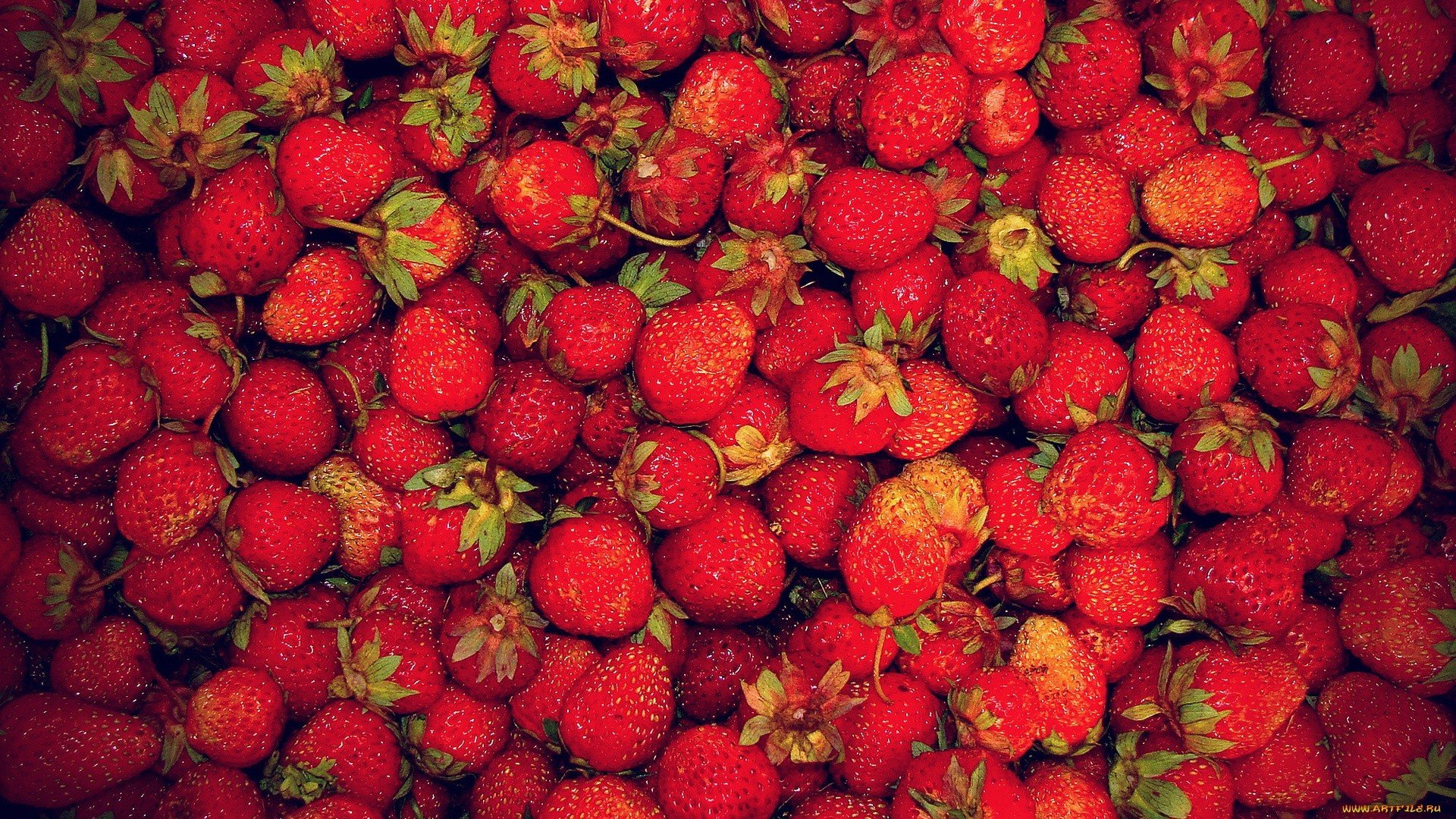 Strawberry Wallpaper