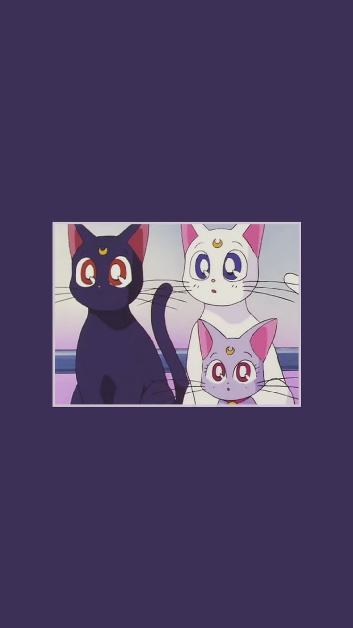 Sailor Moon Cats Wallpapers Wallpaper Cave