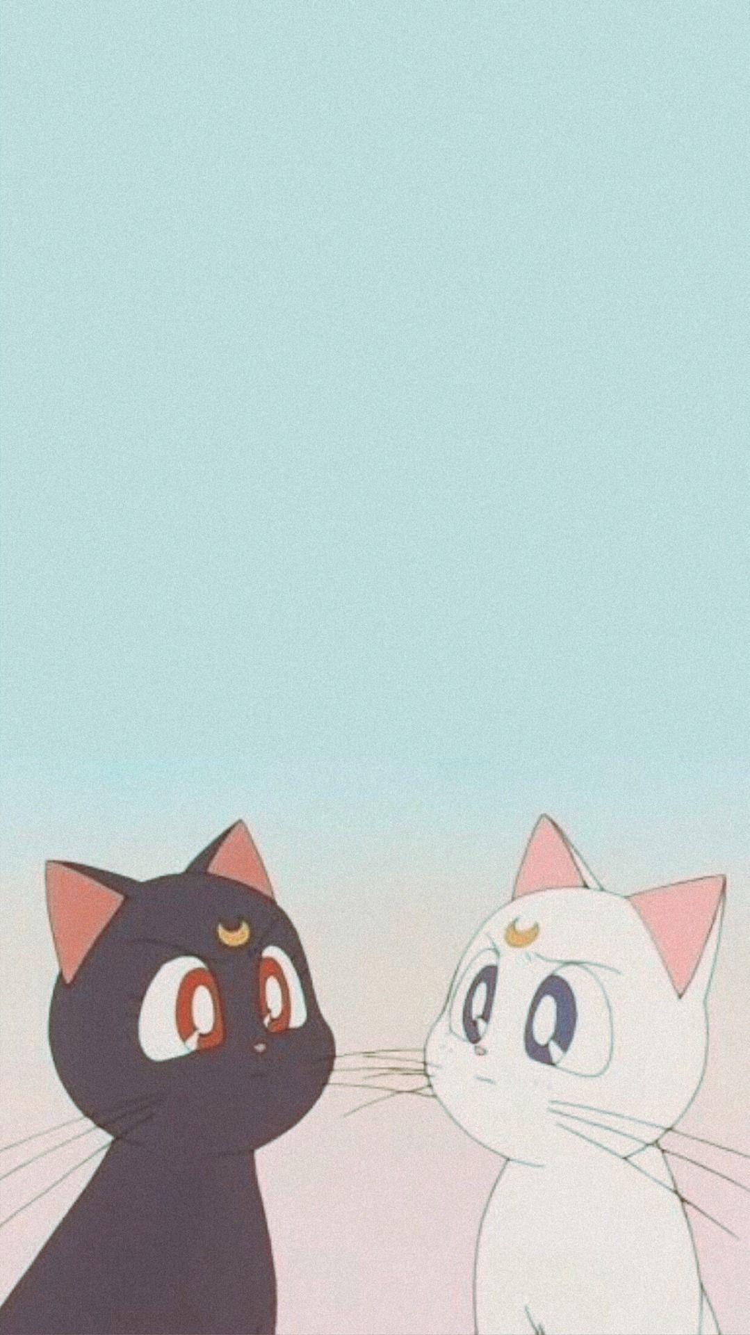 Anime Wallpaper Kawaii Aesthetic Cats Sailor Moon