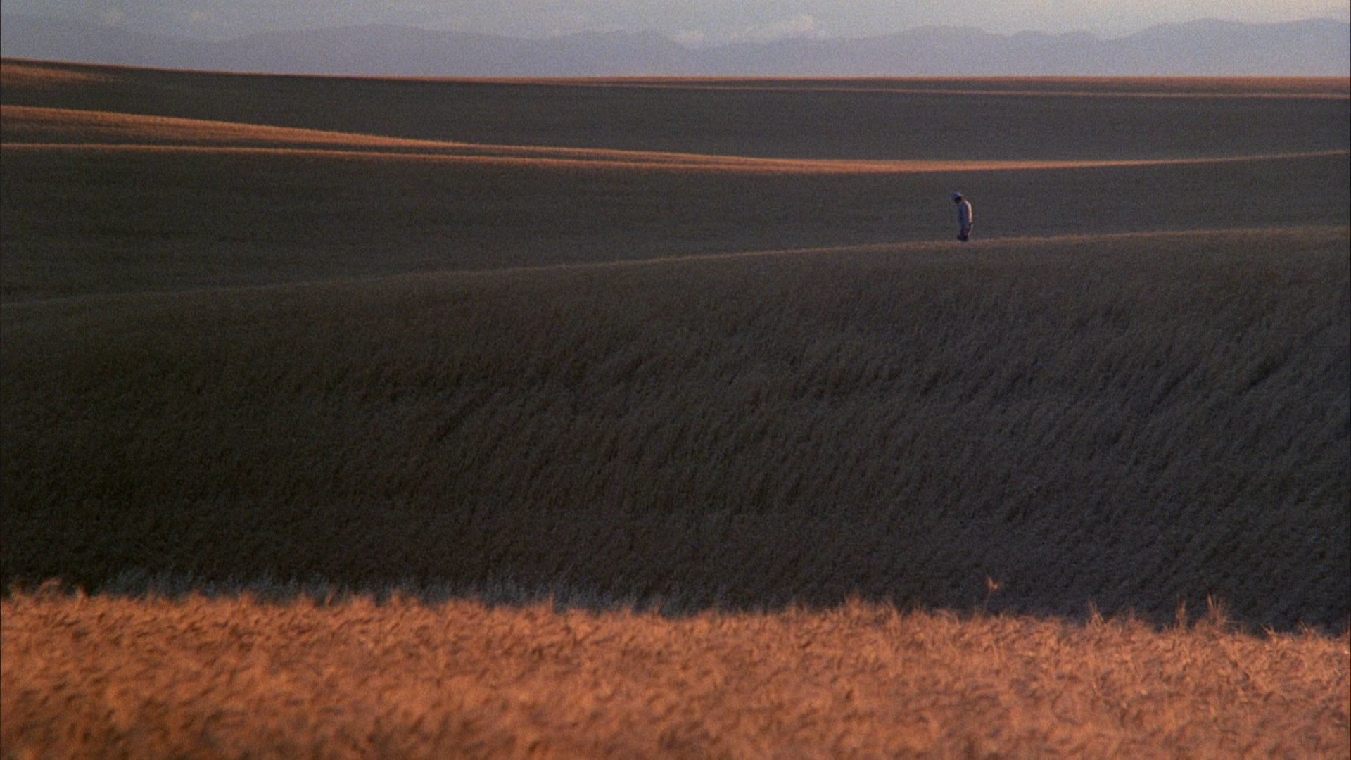 Days of Heaven HD Wallpaper and Background Image