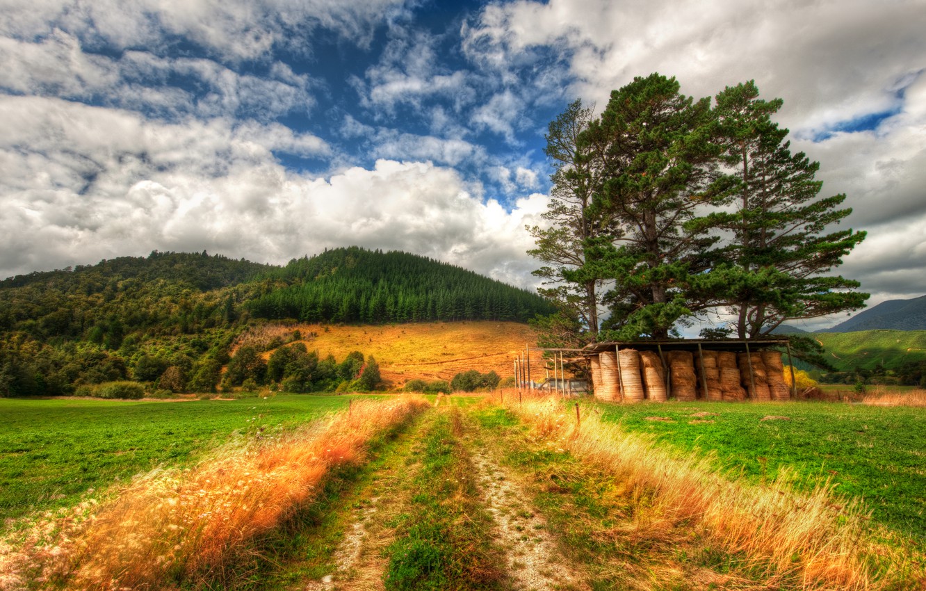 Wallpaper field, landscape, new Zealand, field, landscape, farm, new zealand, farm image for desktop, section пейзажи