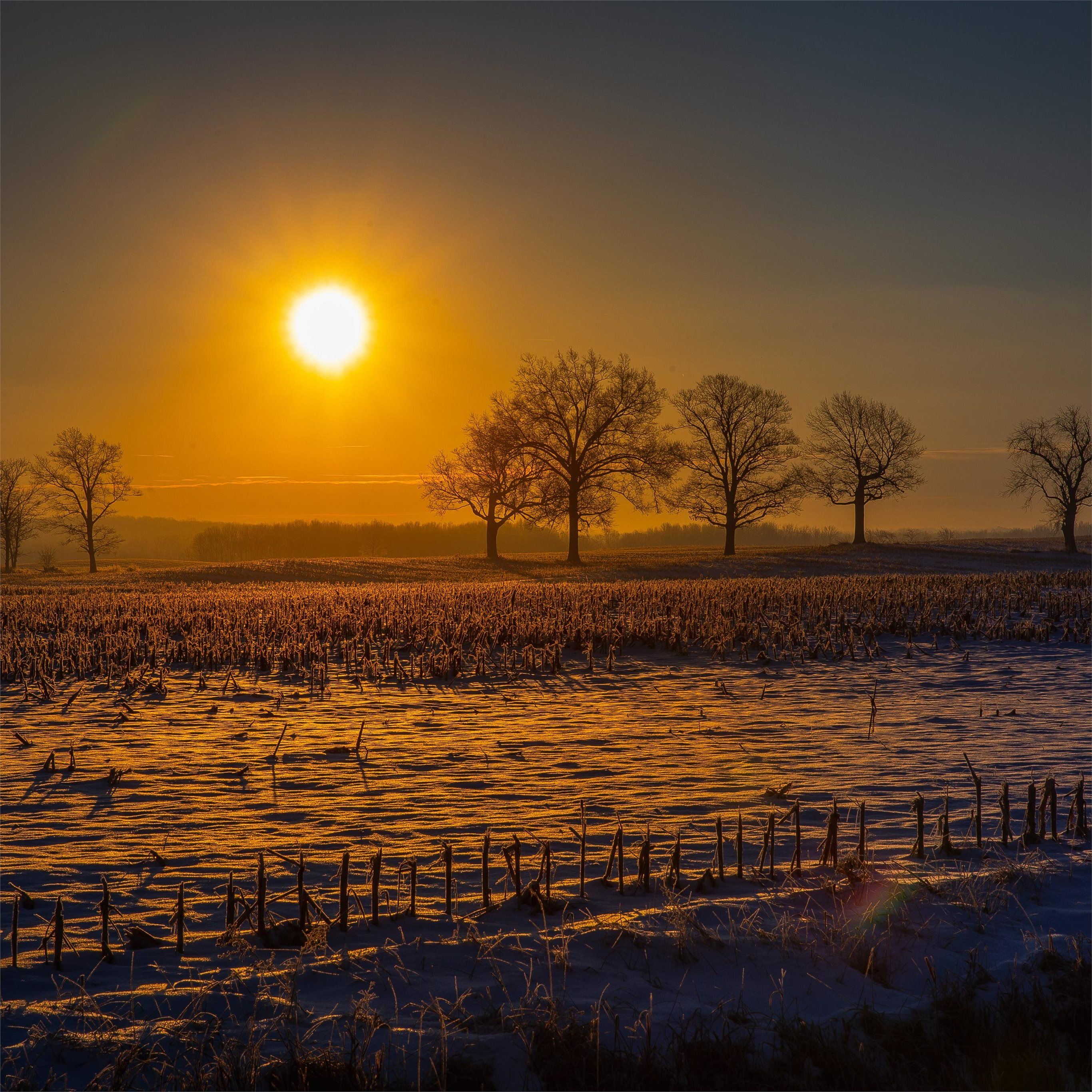 Farm Field Wallpapers - Wallpaper Cave