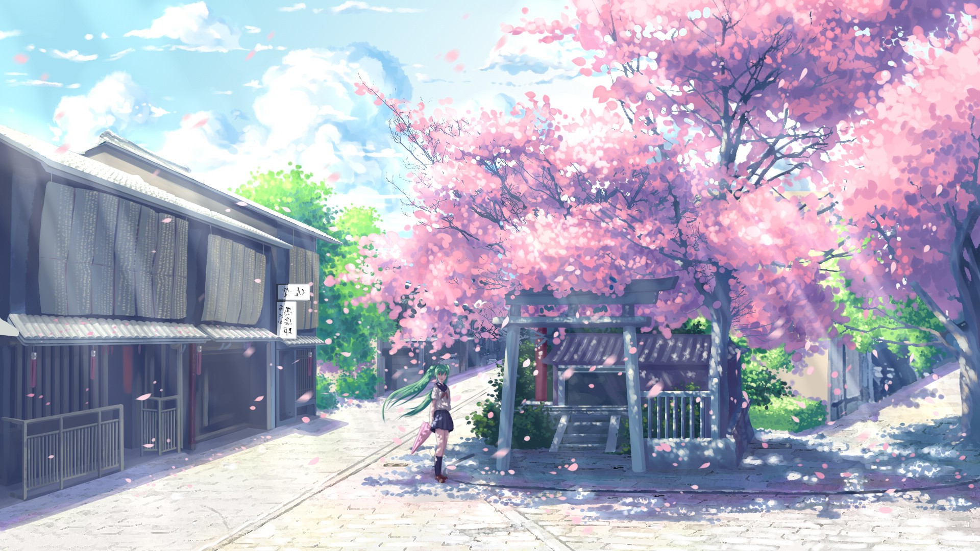 Anime Cherry Blossom Desktop Wallpaper