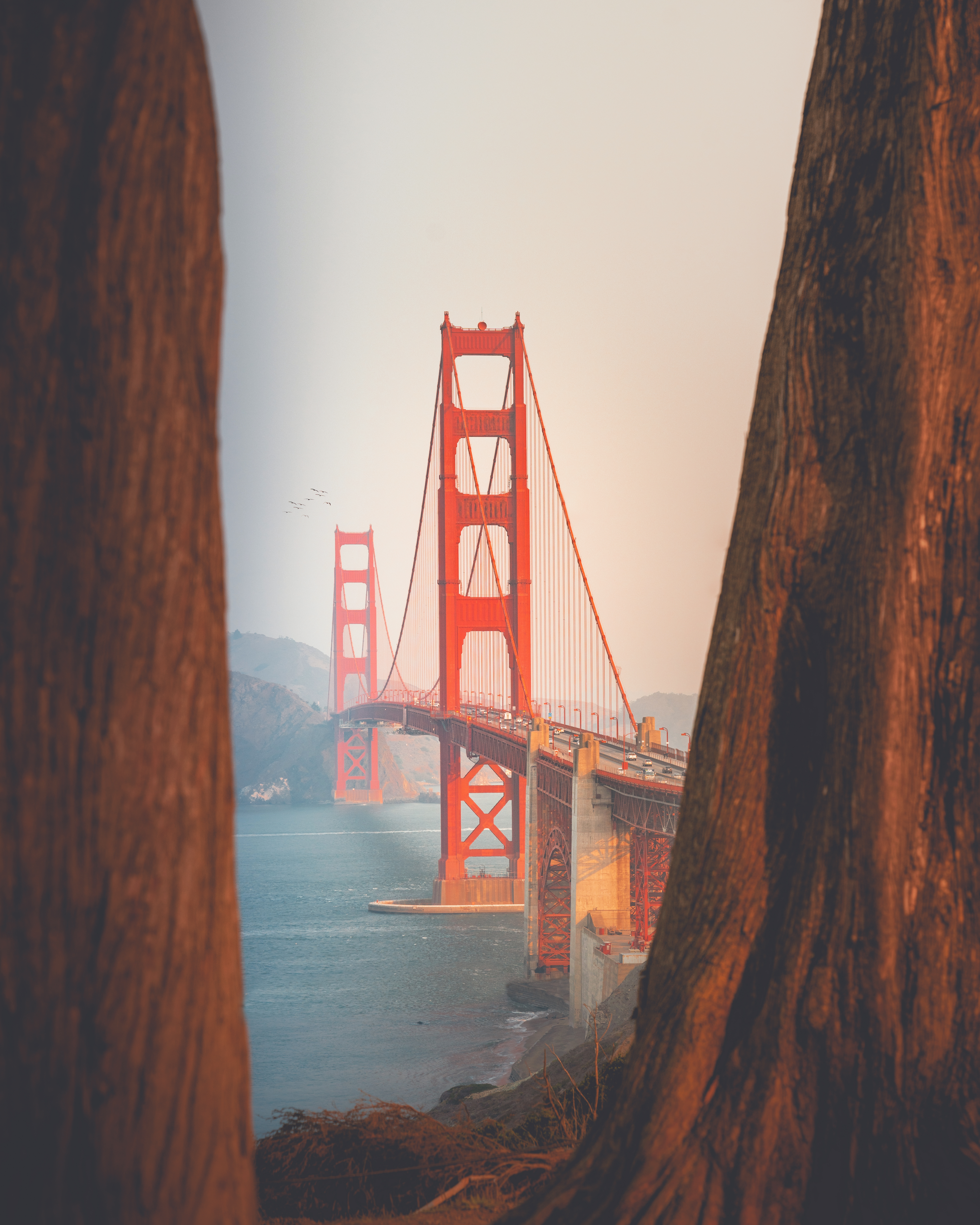 Golden Gate Bridge, San Francisco · Free