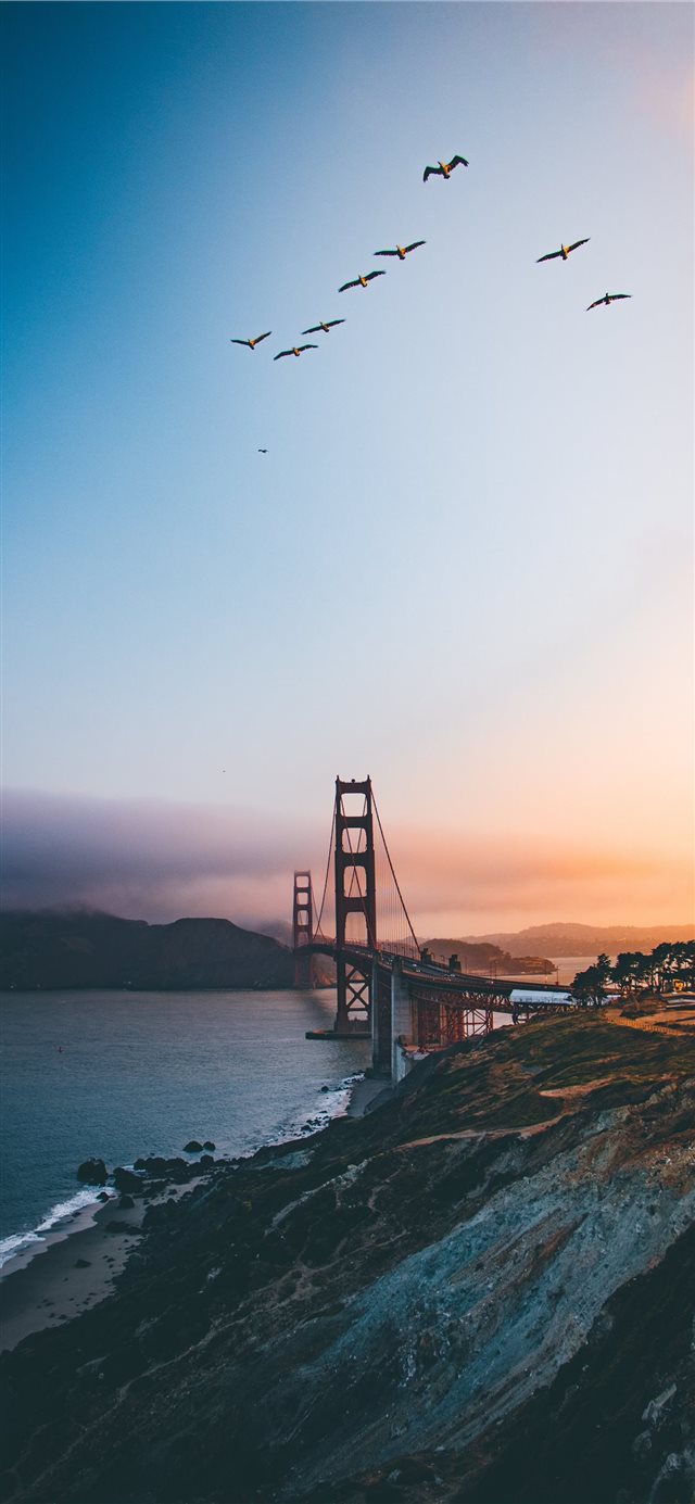 Golden Gate Bridge United States iPhone 11 Wallpaper Free Download