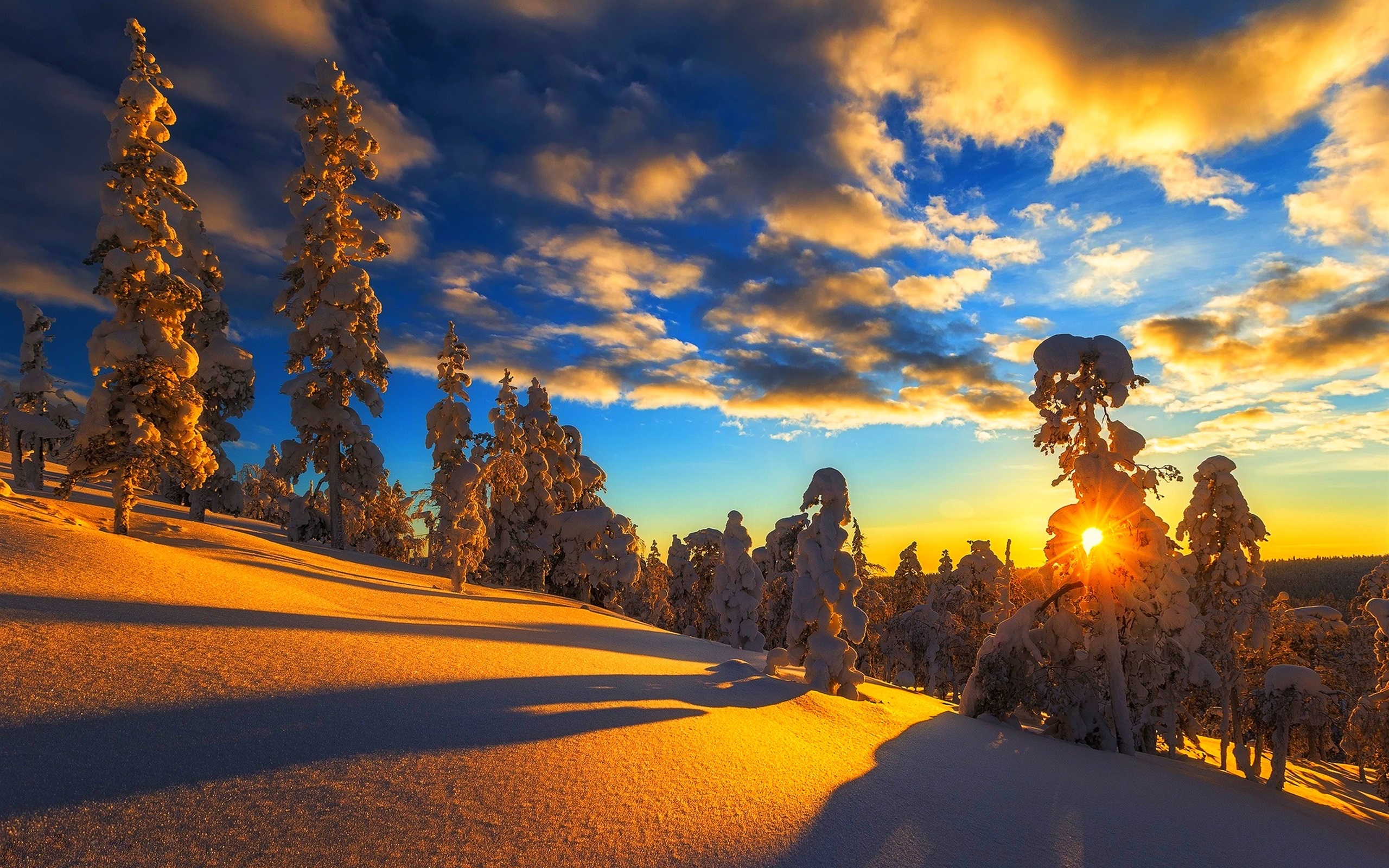 Wallpaper Winter, mountain, snow, trees, sky, clouds, sunset 2560x1600 HD Picture, Image