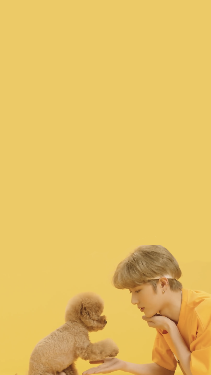 투모로우바이투게더 tomorrow by together txt Beomgyu cat & dog wallpaper