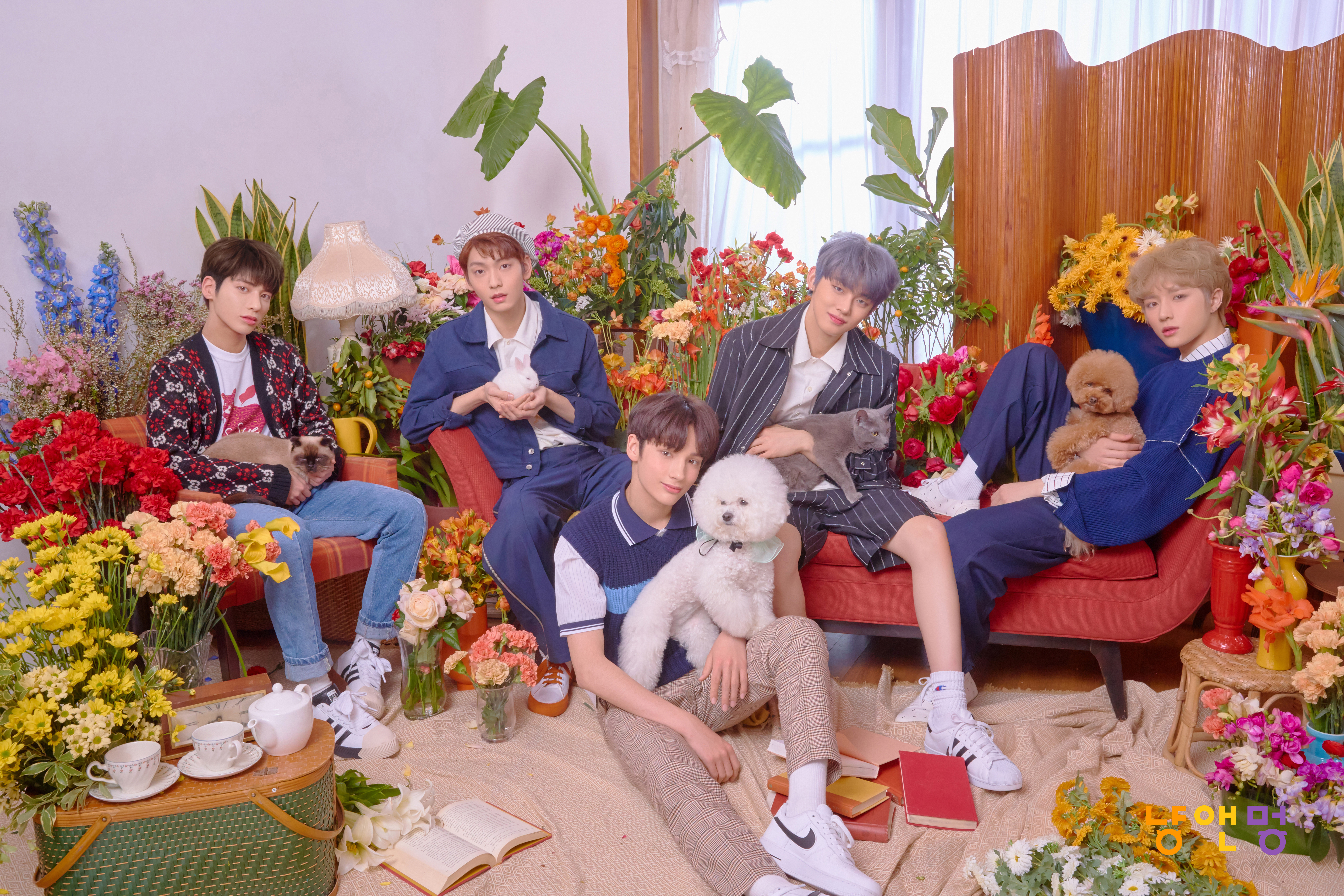 TXT Cat & Dog Concept Profile Photo (HD HR)-Pop Database Dbkpop.com