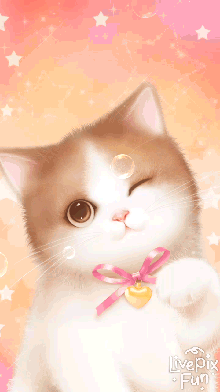 Pink Cat Wallpaper