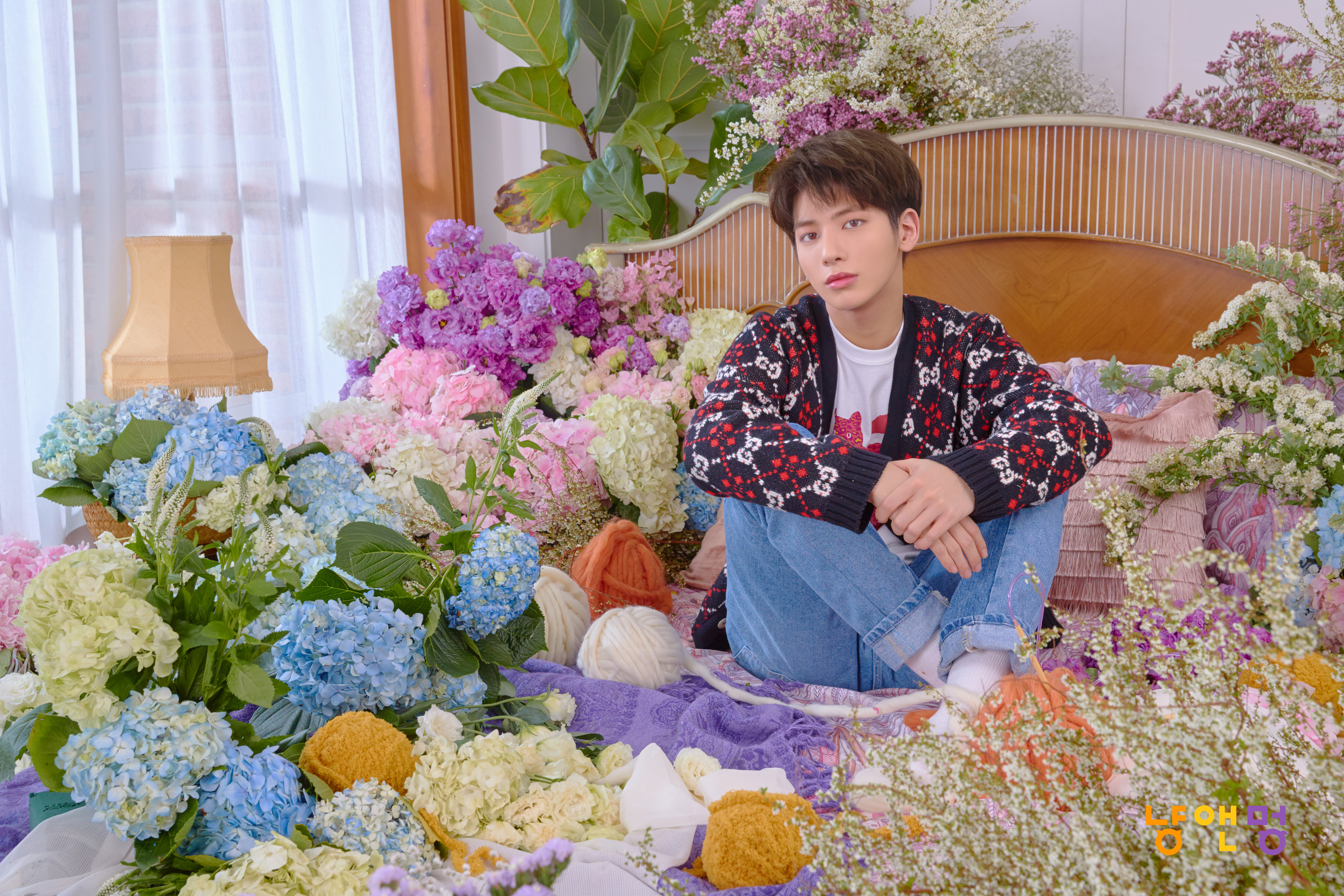 TXT Cat & Dog Concept Profile Photo (HD HR)-Pop Database Dbkpop.com