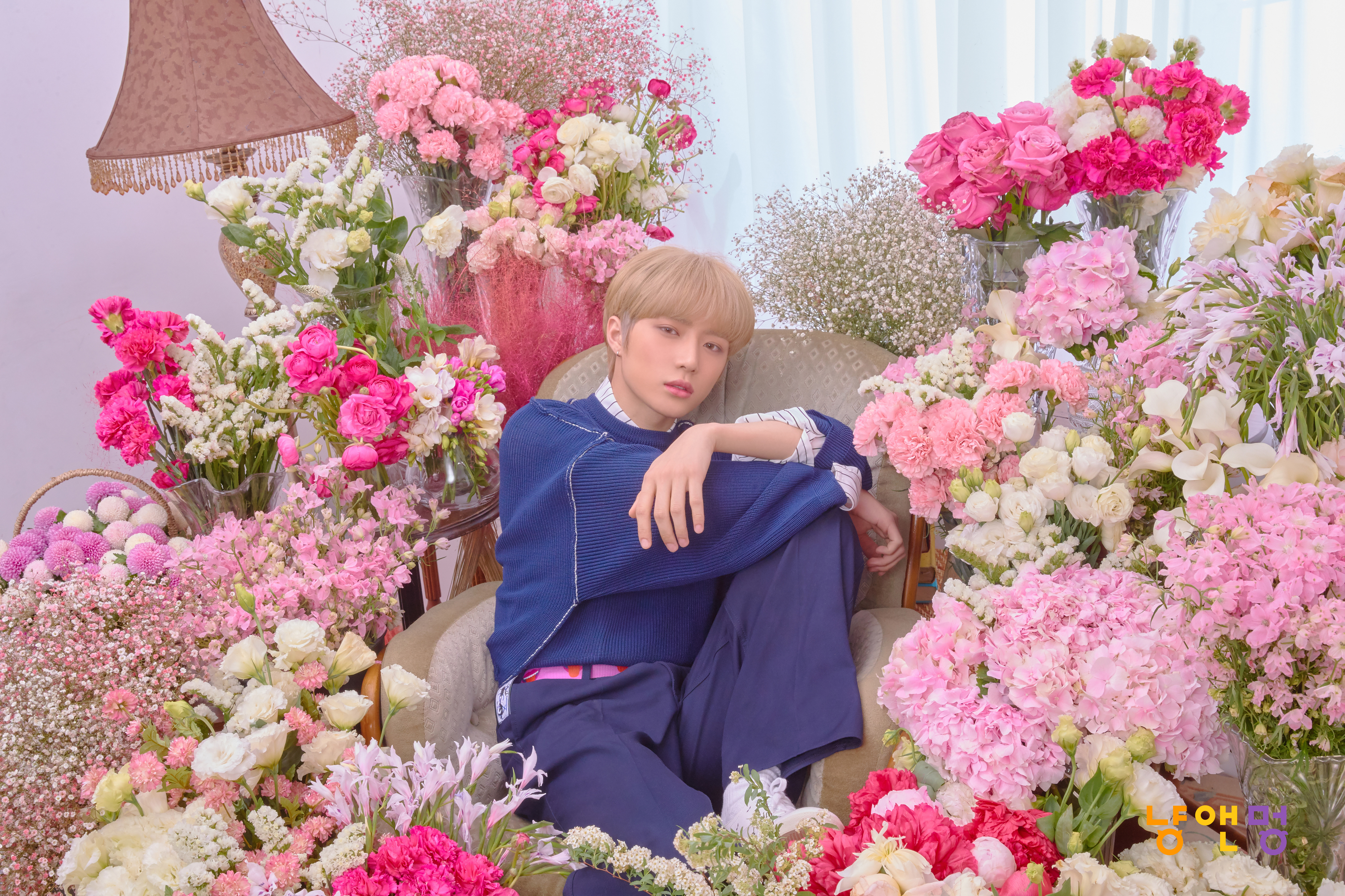 TXT Cat & Dog Concept Profile Photo (HD HR)-Pop Database Dbkpop.com
