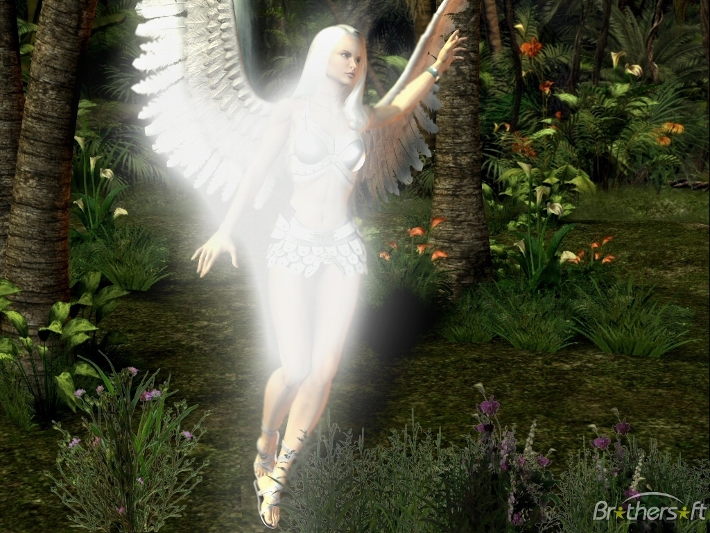 Angel Of The Forest
