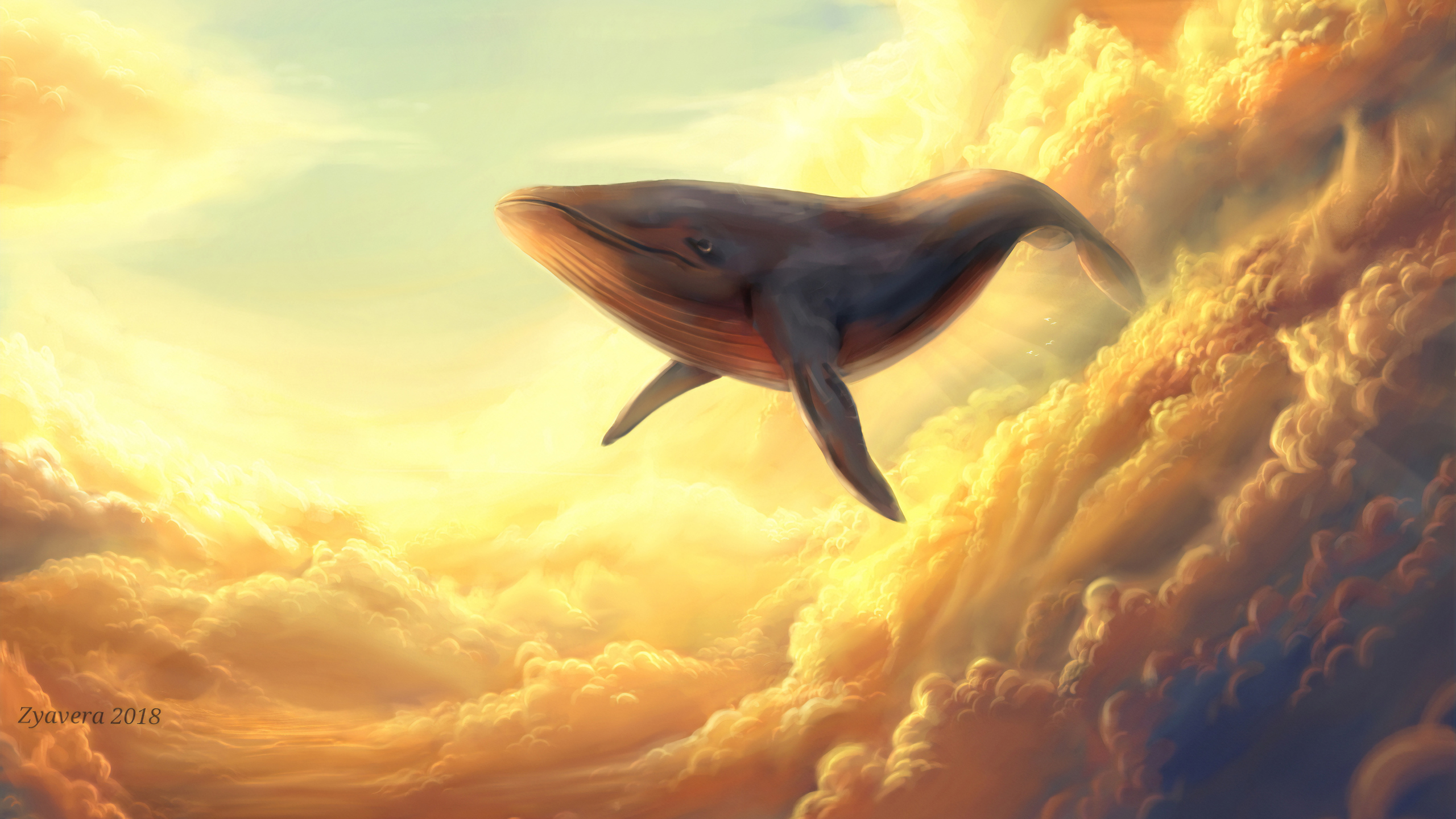 Whale In The Clouds 1440P Resolution HD 4k Wallpaper, Image, Background, Photo and Picture