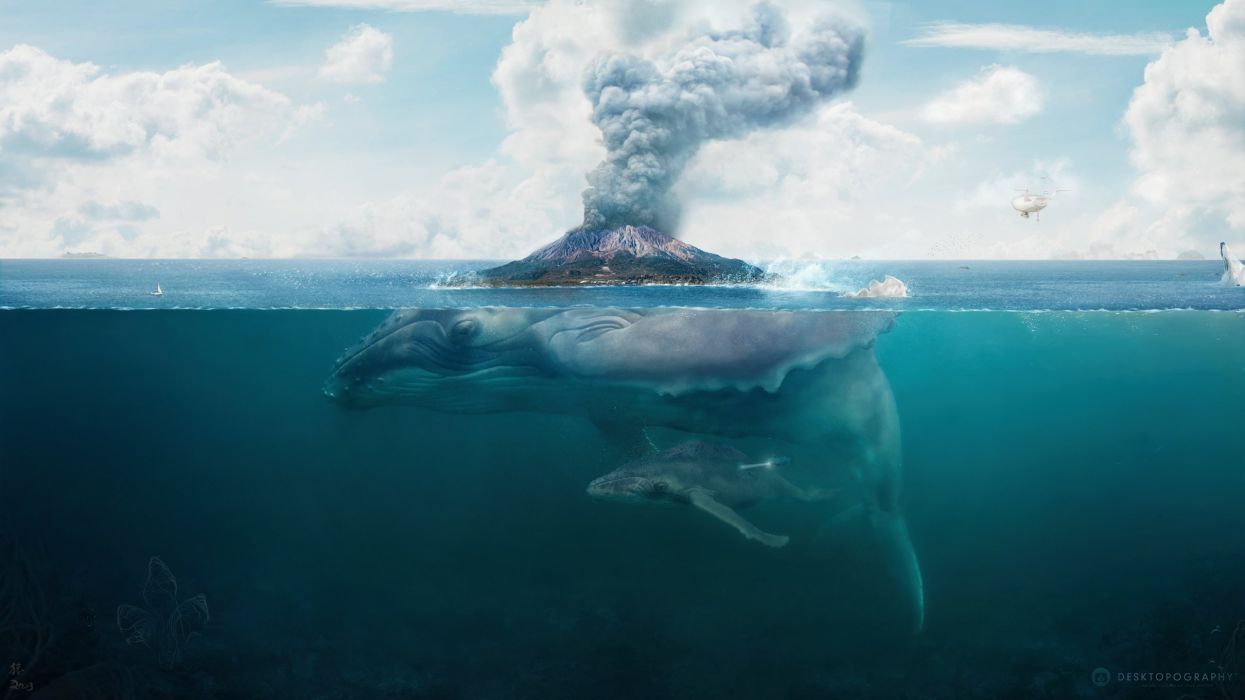 Island hq wallpaper whale art volcano fantasy underwater ocean psychedelic wallpaperx1440