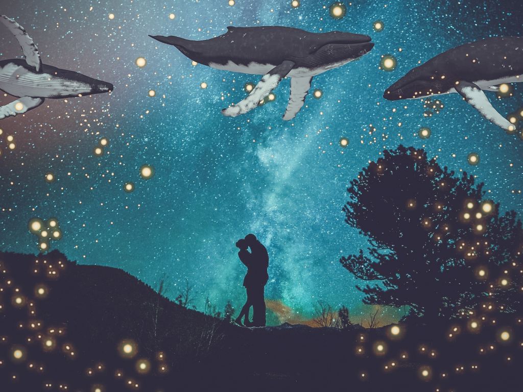 Fantasy, couple, hug, whale, fishes, digital art wallpaper, HD image, picture, background, 85e427