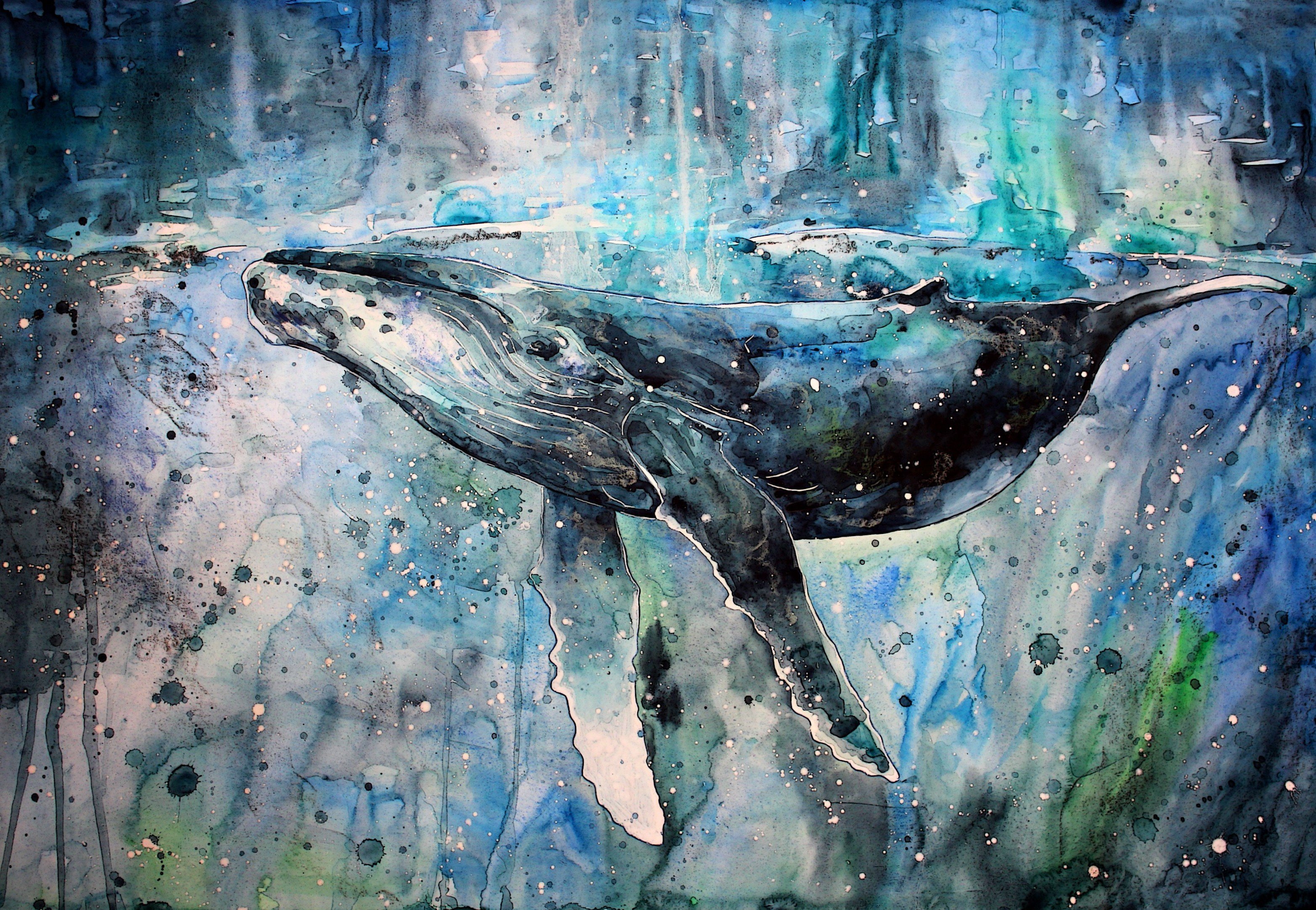 Animals artwork Paint Splatter painting watercolor Whale wallpaperx2163