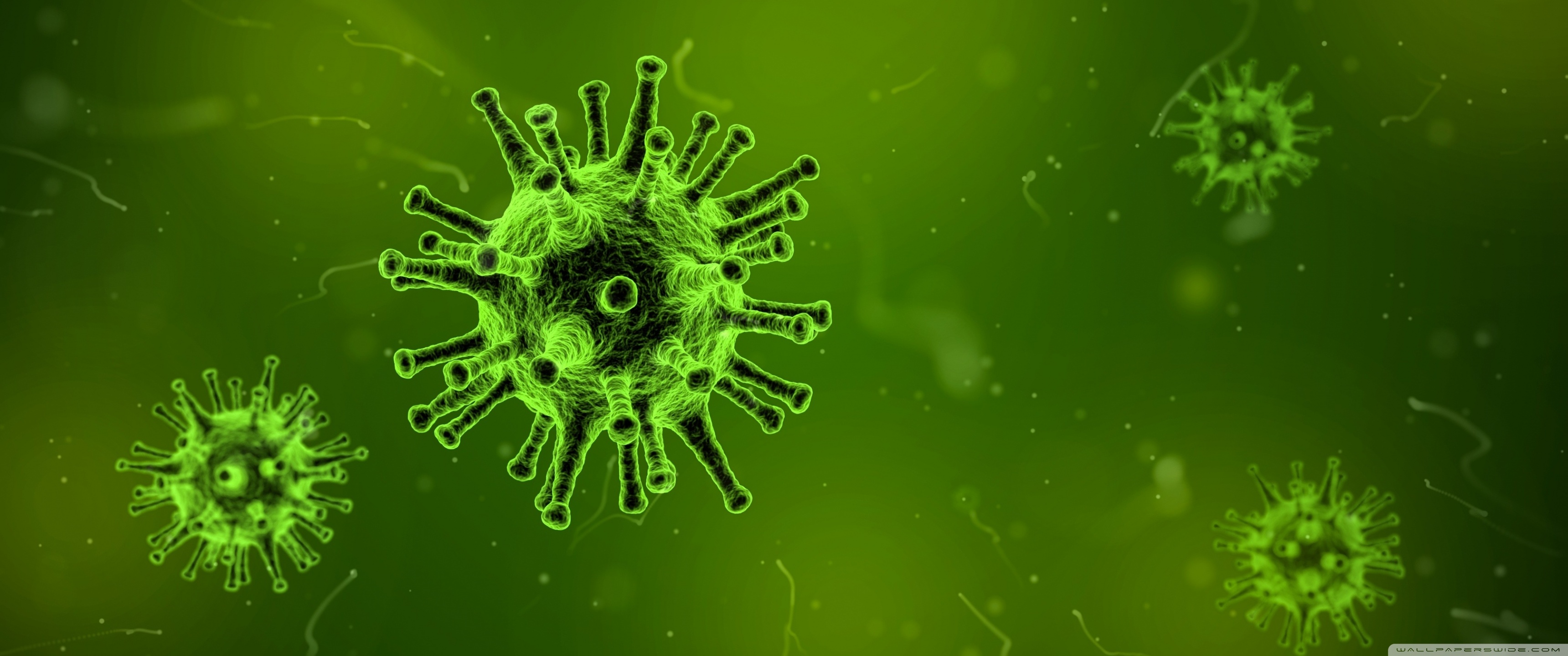 Wallpaper thread? wallpaper thread!