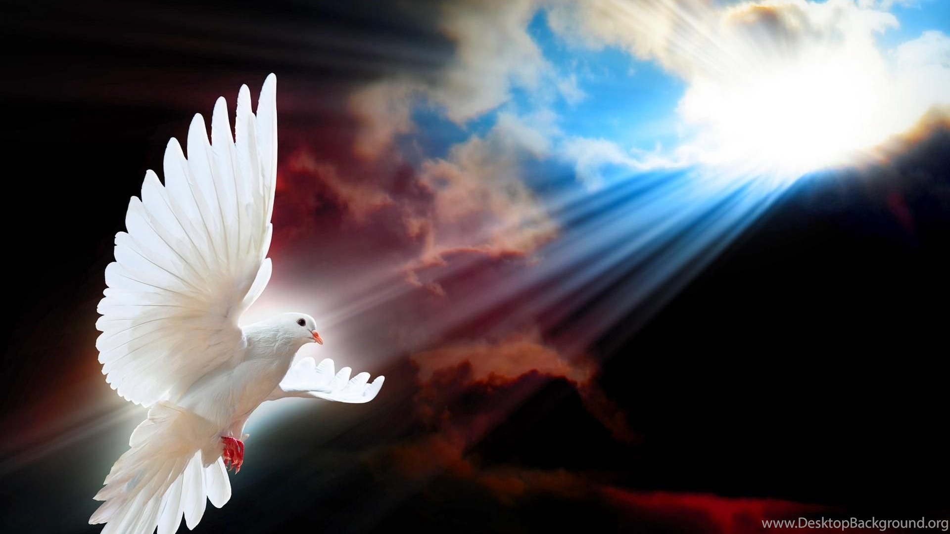 Shine A Light For Peace >> HD Wallpaper, Get It Now! Desktop Background