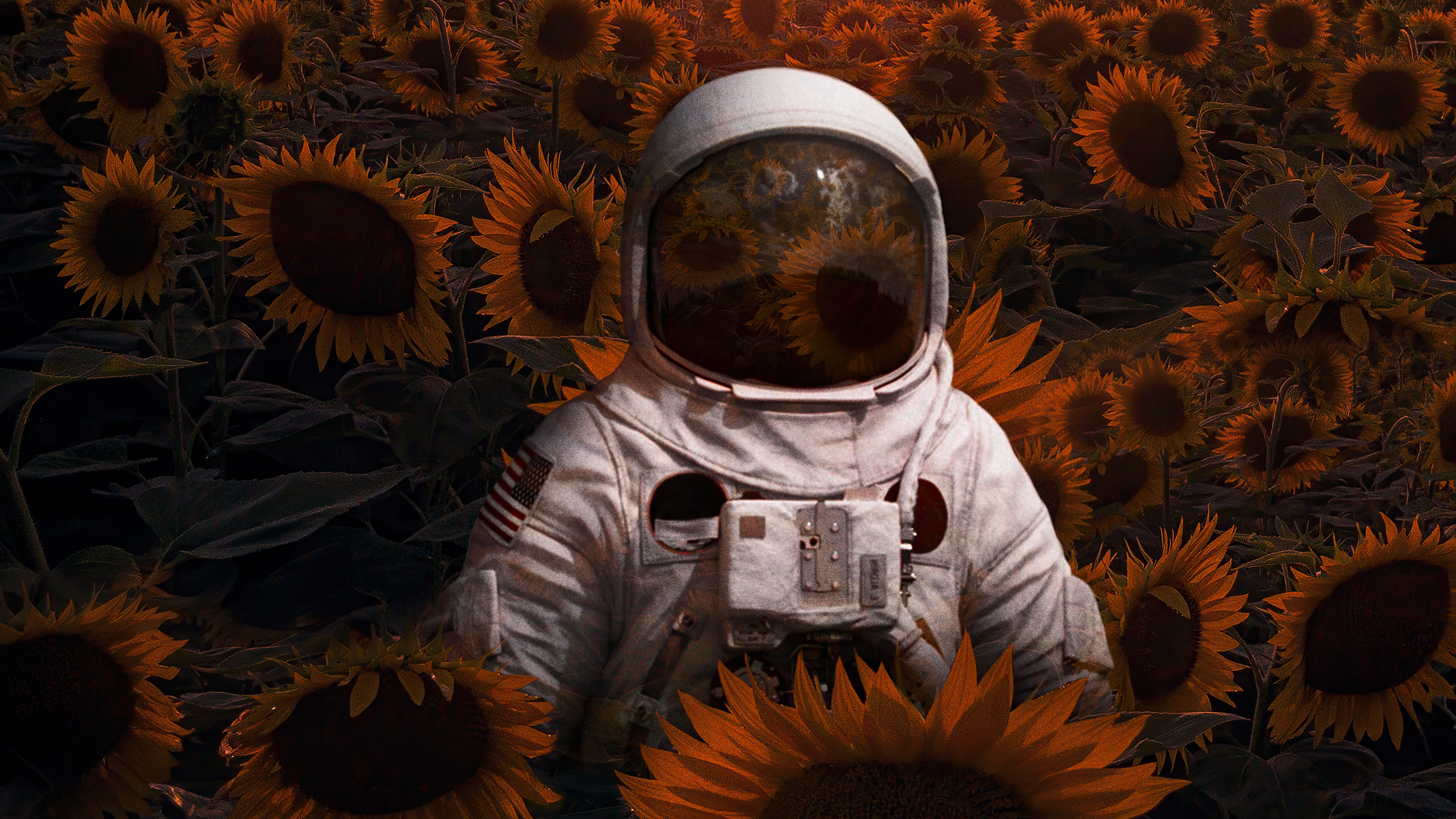 Astronaut In Sunflowers Field 4k, HD Artist, 4k Wallpaper, Image, Background, Photo and Picture