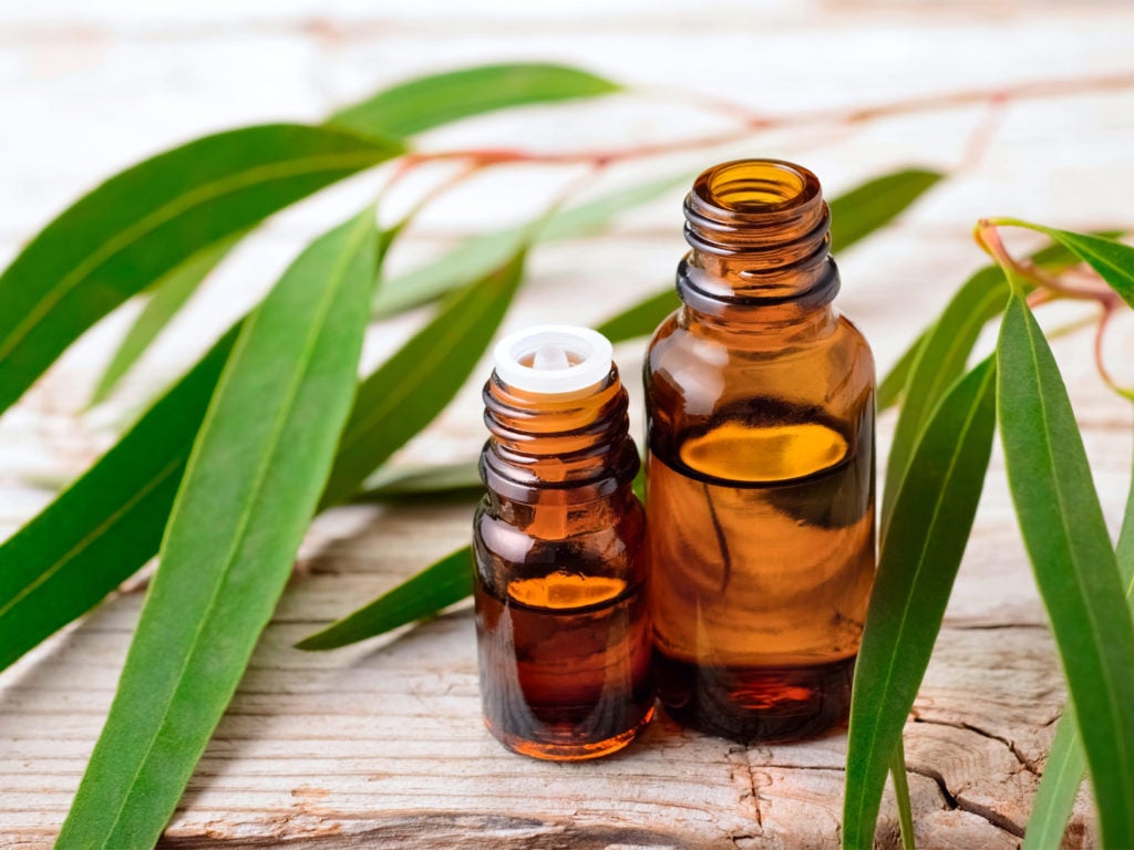 The Benefits And Uses of Eucalyptus Essential Oil