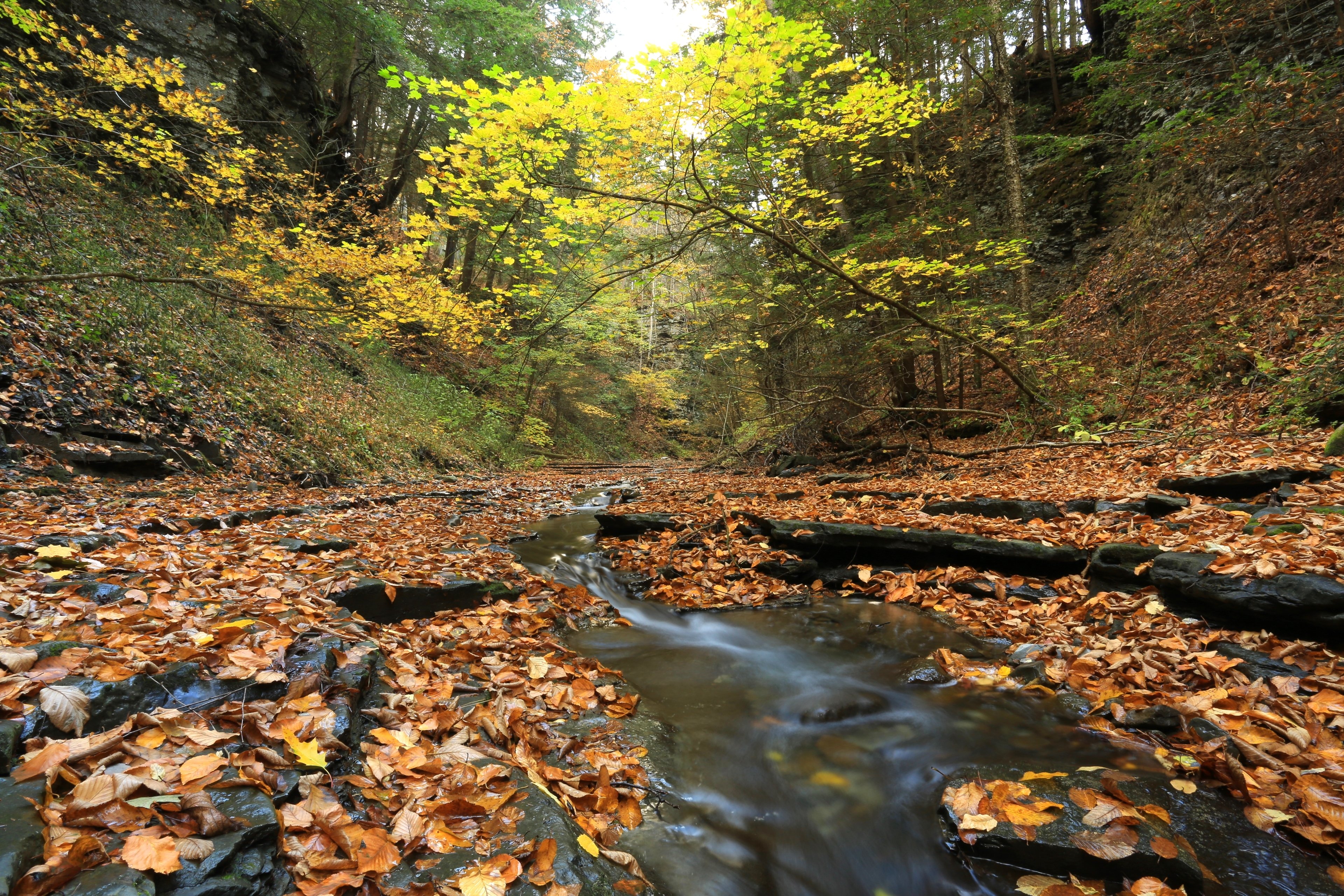 A Little Creek in Ithaca NY 4K wallpaper