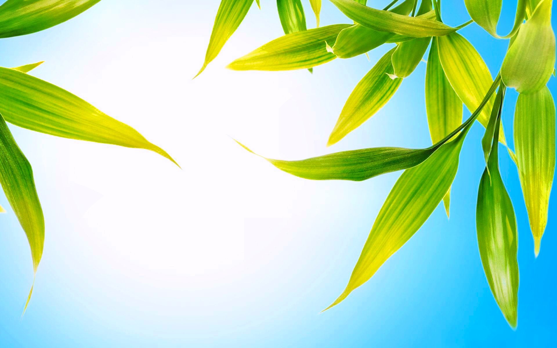 Spring wallpaper 1920x1200 desktop background