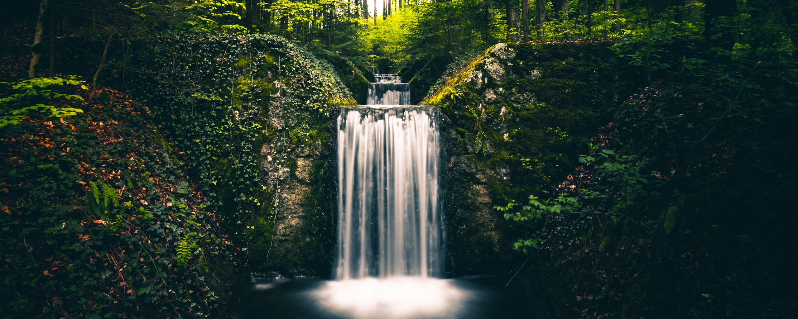 Download wallpaper 2560x1024 waterfall, landscape, plants, trees, bushes ultrawide monitor HD background