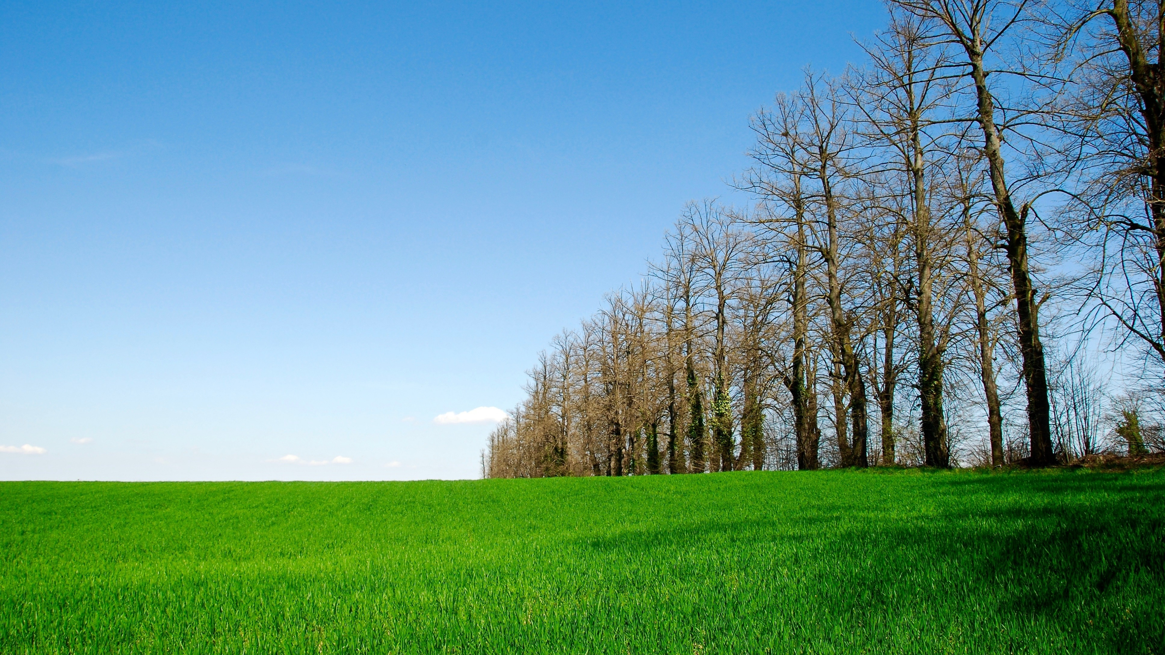 Desktop Wallpaper Landscape, Farm, Green Plants, Trees, 4k, HD Image, Picture, Background, 86dd8b