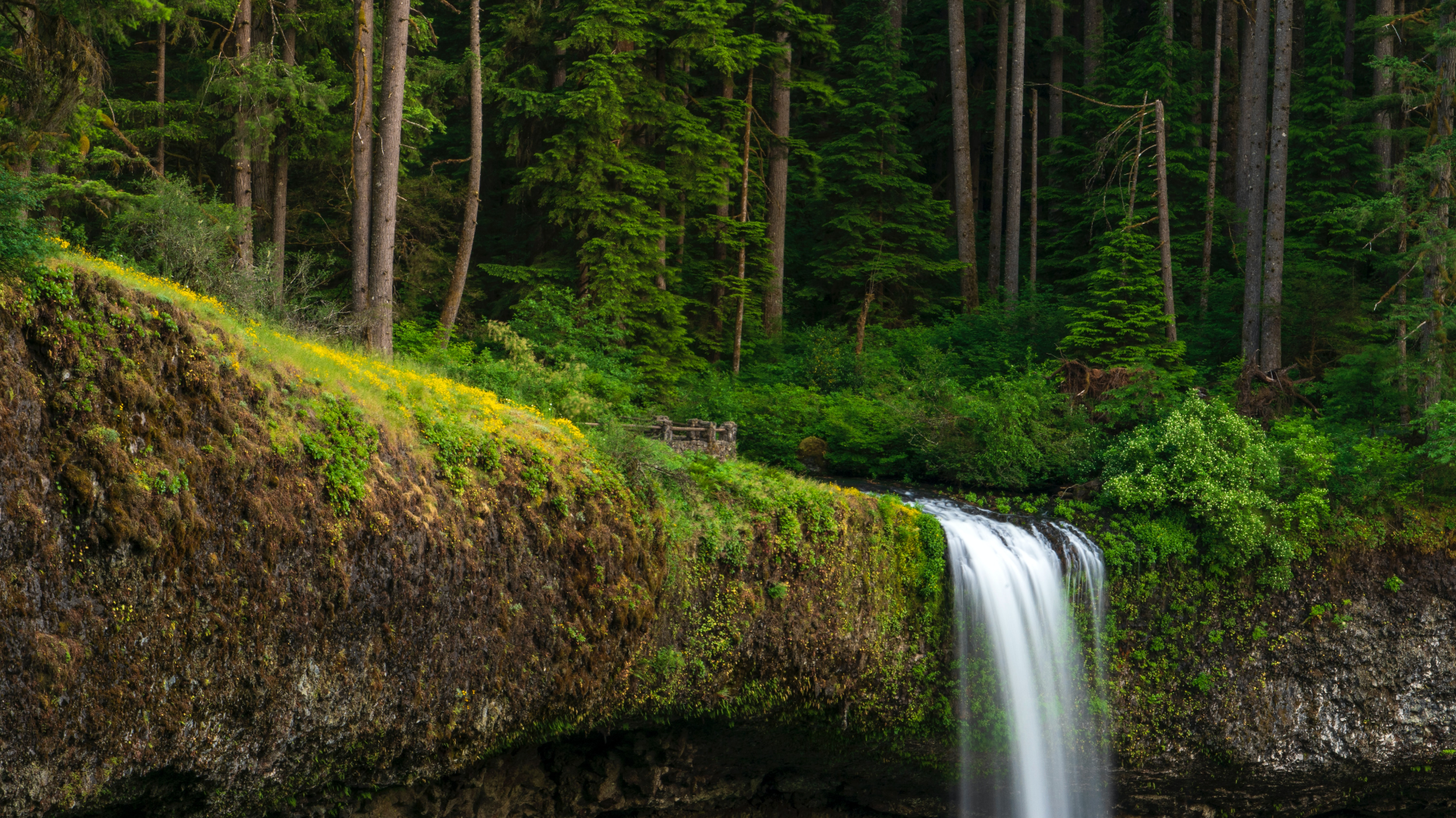 Download 3840x2160 United States, Oregon, Waterfall, Moss, Plants, Trees, Forest Wallpaper for UHD TV
