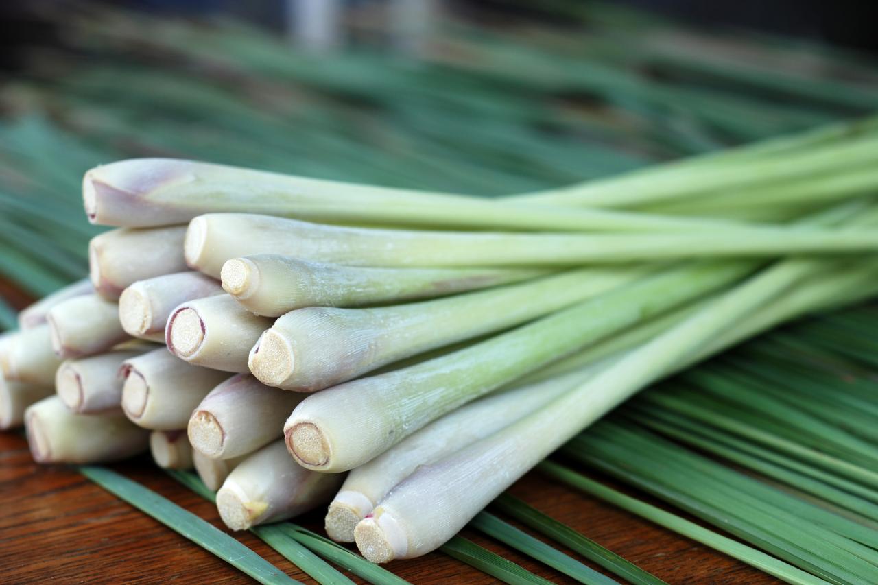 Grow Your Own Lemongrass