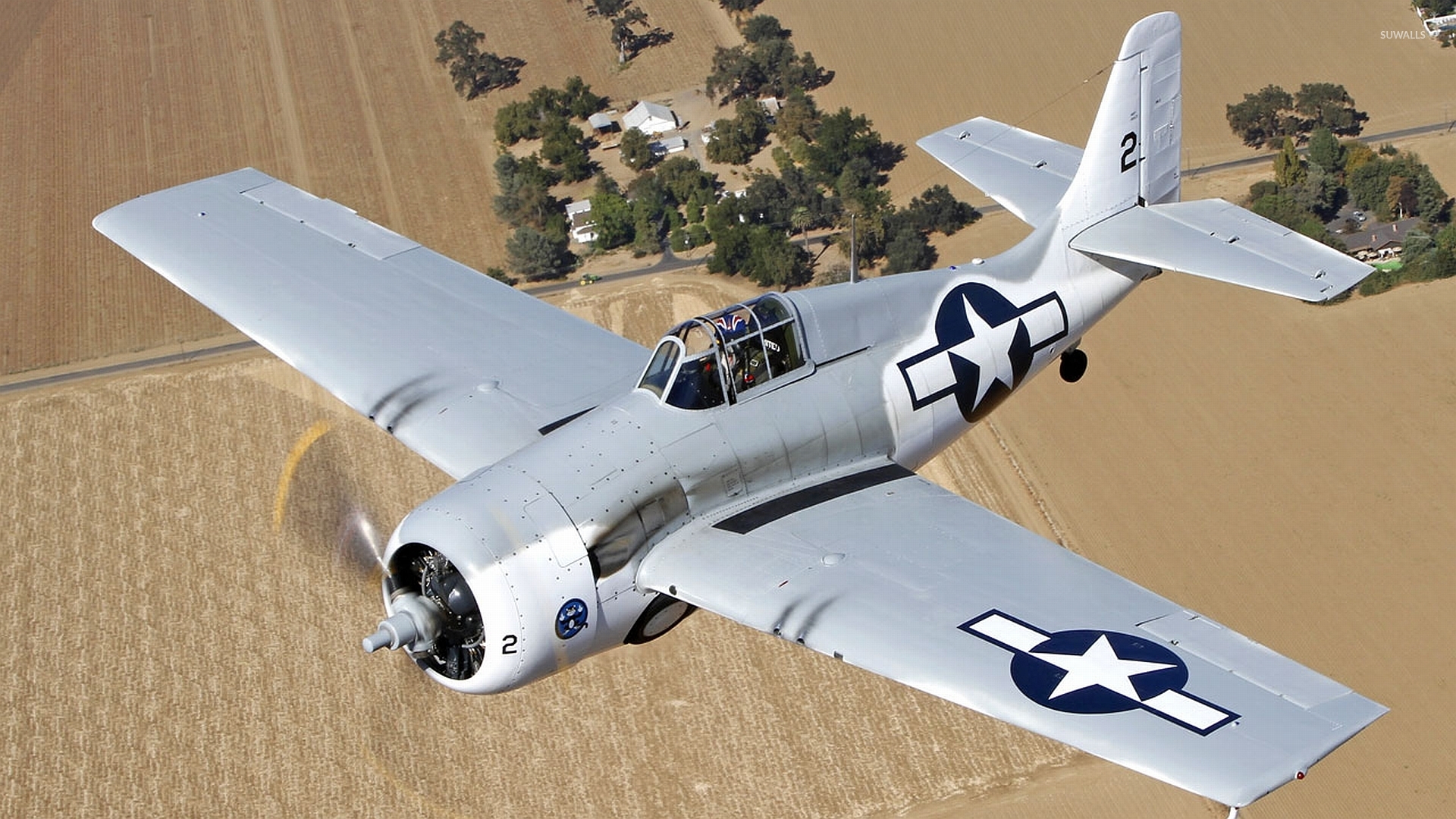 Grumman F4F Wildcat wallpaper wallpaper