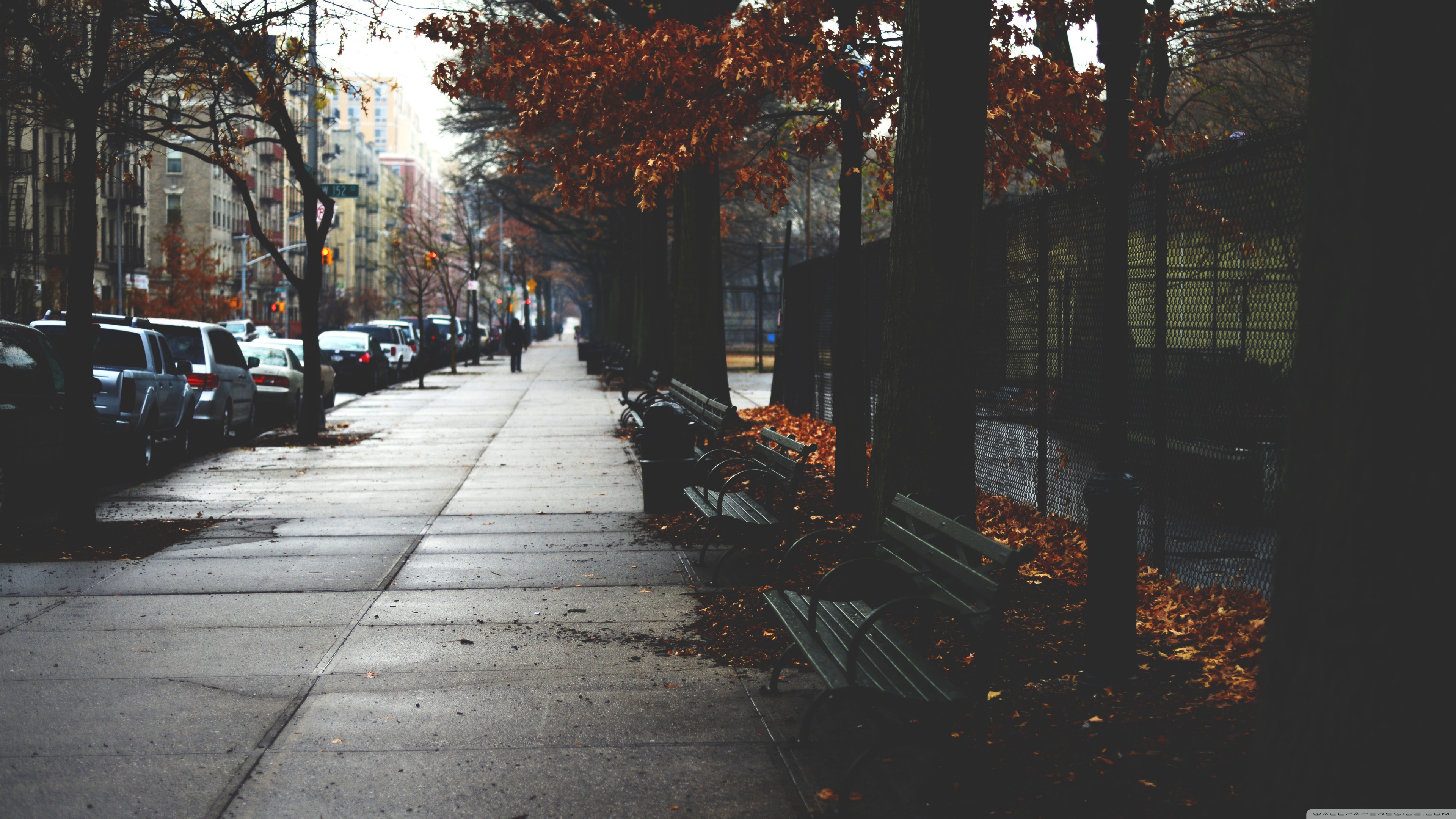 Cold Autumn Day In New York City Ultra HD Desktop Background Wallpaper for 4K UHD TV, Widescreen & UltraWide Desktop & Laptop, Tablet