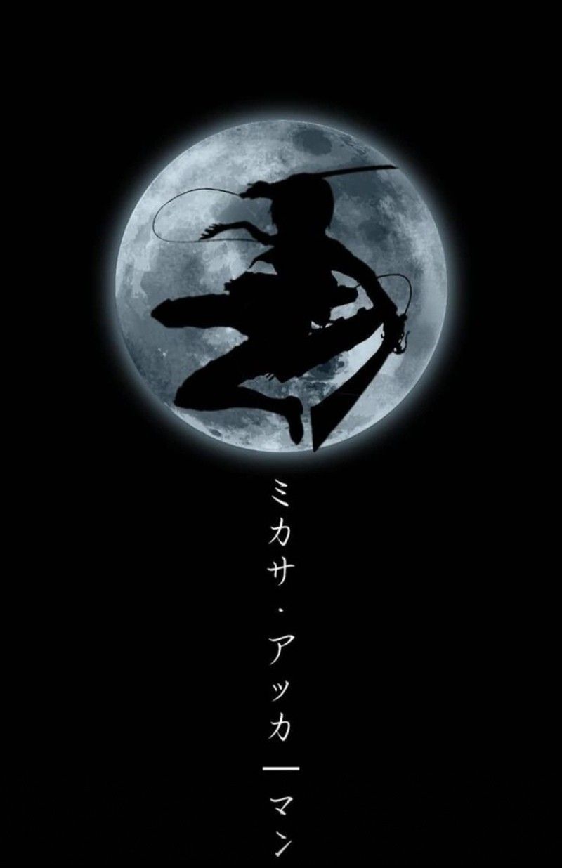 Attack on Titan. Aot wallpaper, Anime shadow, Attack on titan tattoo