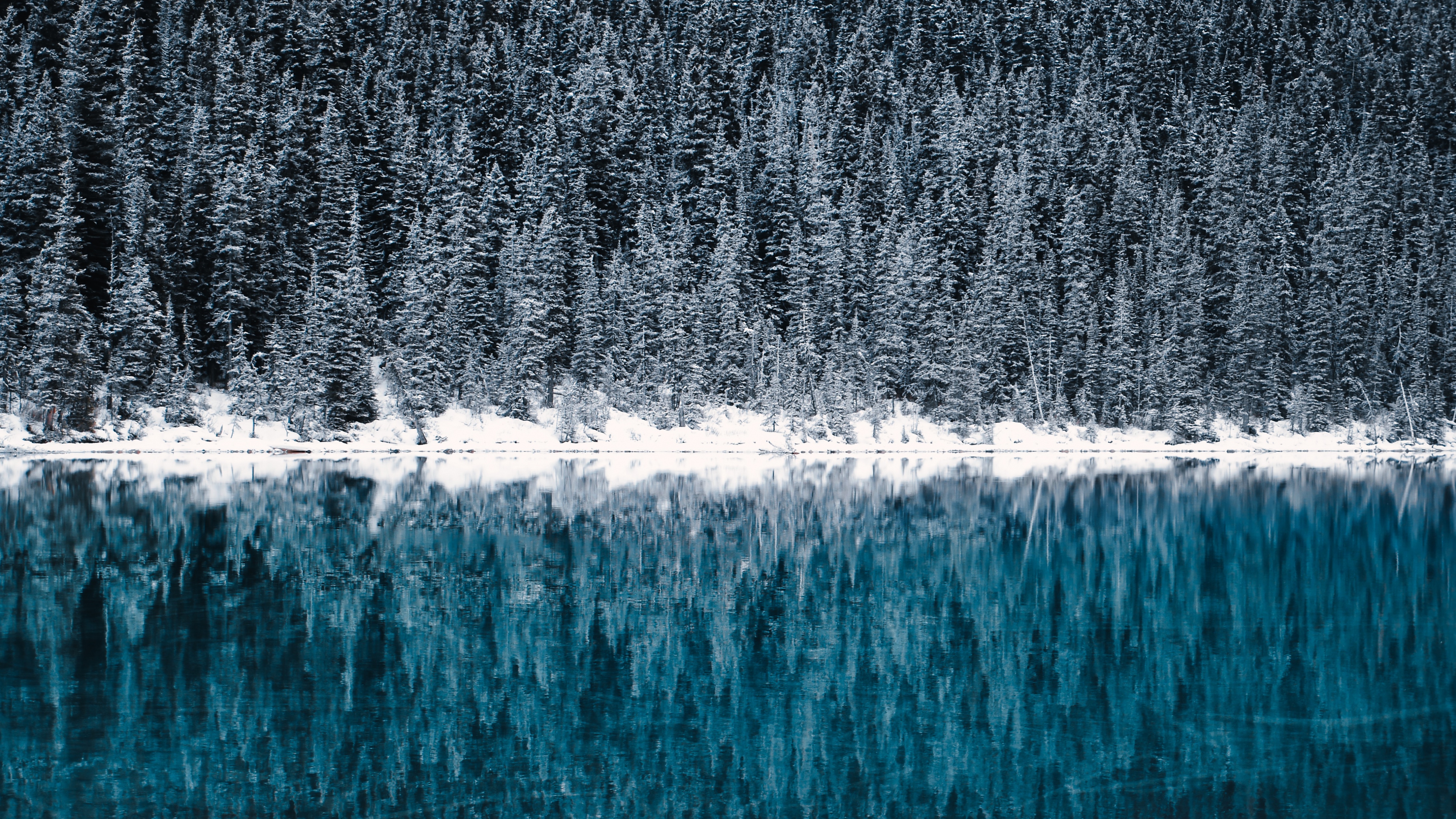 Lake Louise Wallpaper 4K, Winter, Cold, Reflections, Pine trees, Frozen, Nature