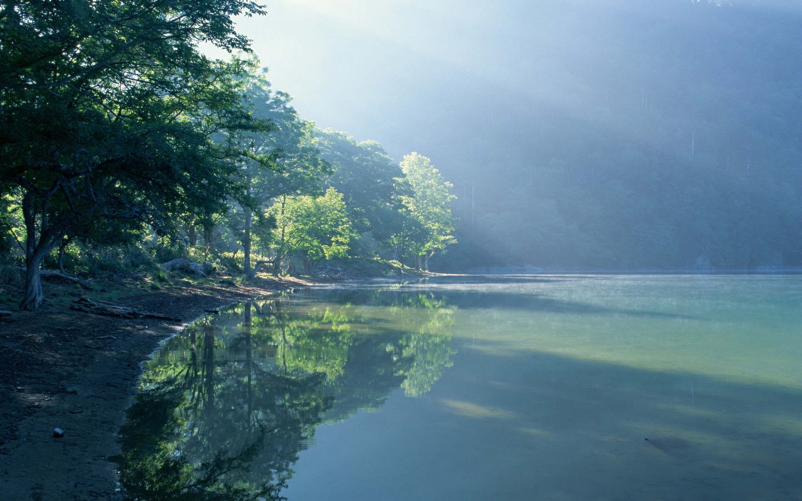 Wallpaper Lakeshore, lake, trees, sun rays, morning 2560x1600 HD Picture, Image