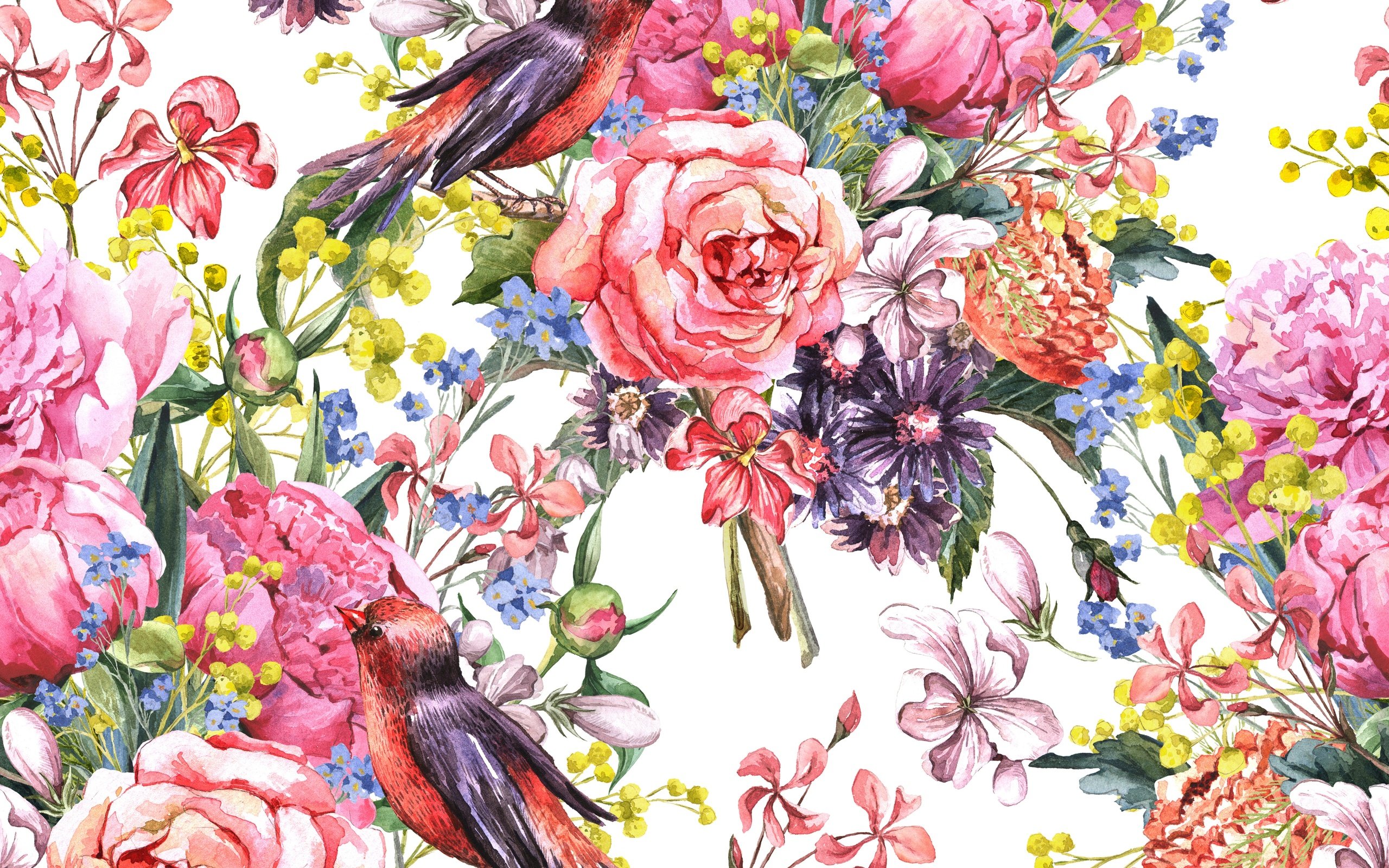painting, Watercolor, Flowers, Birds Wallpaper HD / Desktop and Mobile Background