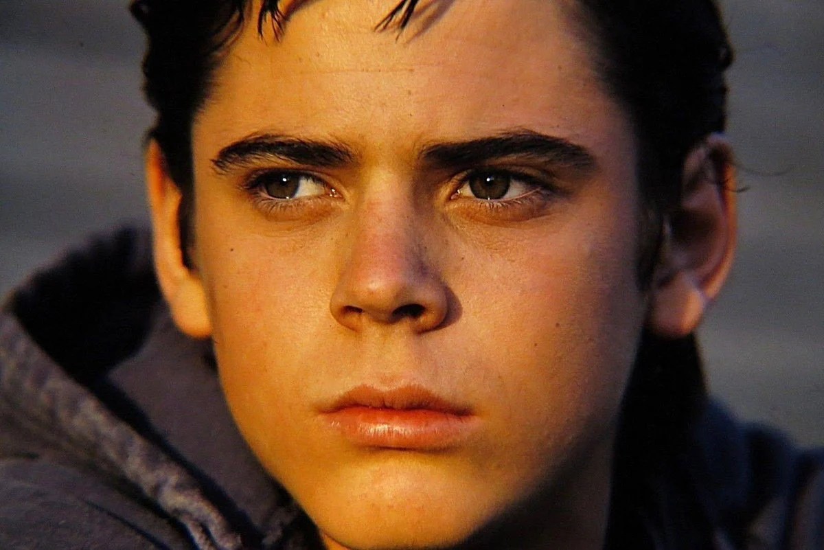 Ponyboy Michael Curtis Wallpapers Wallpaper Cave