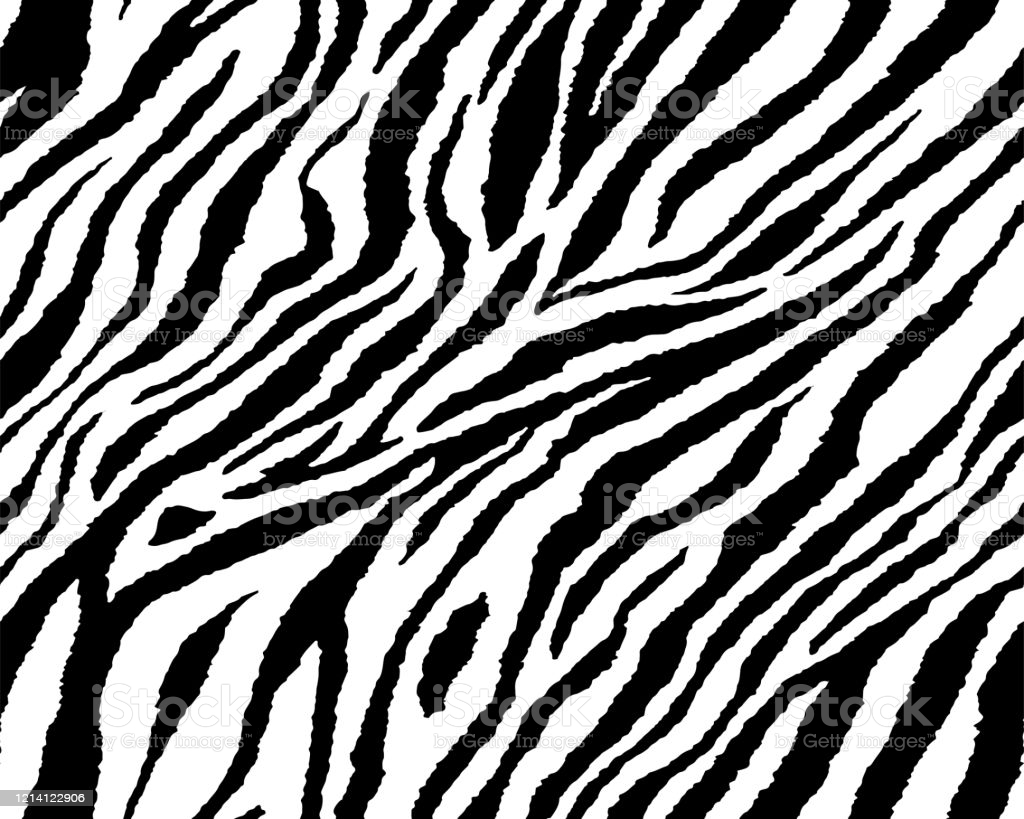 Full Seamless Wallpaper For Zebra And Tiger Stripes Animal Skin Pattern Black And White Design For Textile Fabric Printing Fashionable And Home Design Fit Stock Illustration Image Now