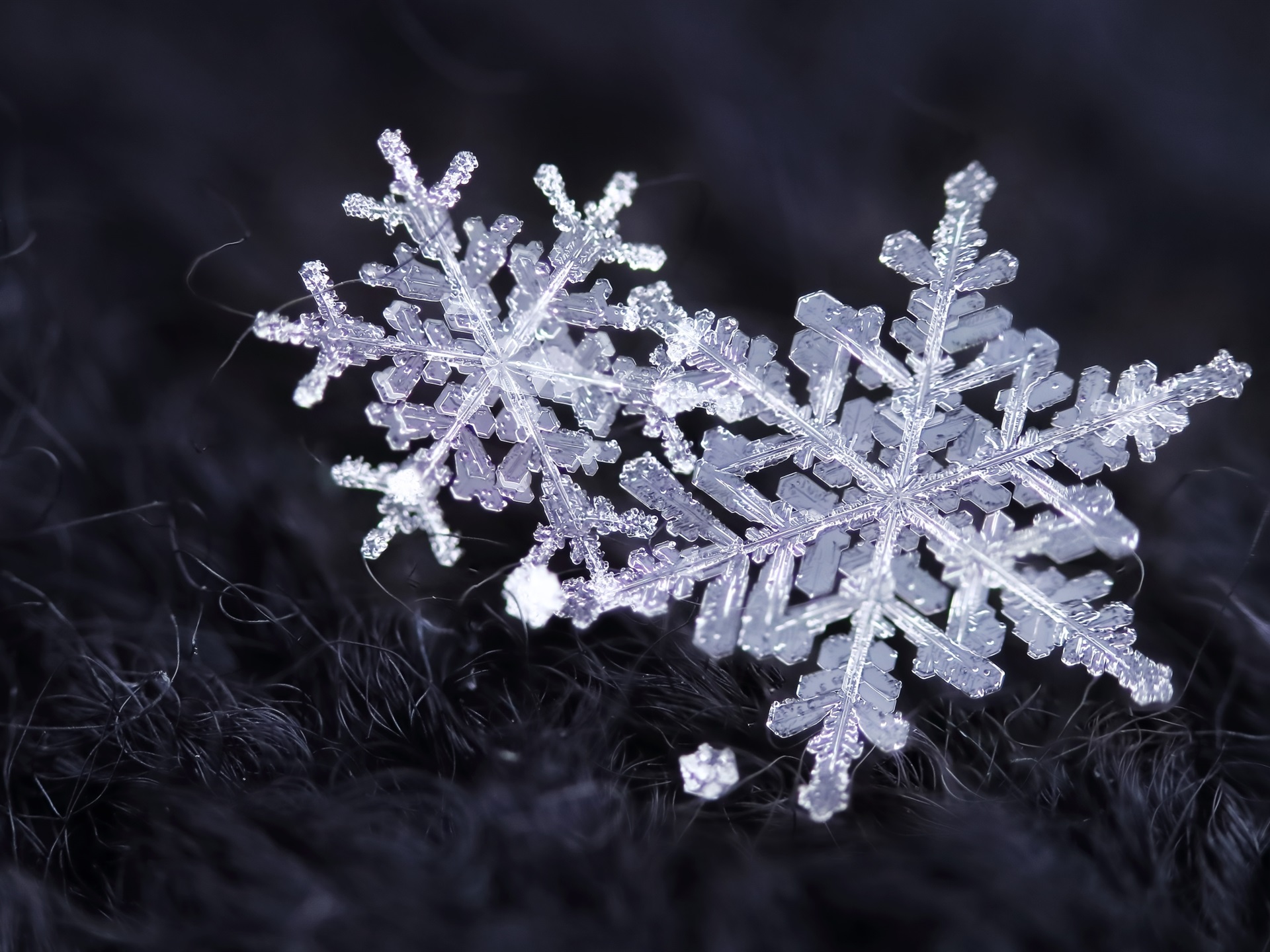 Wallpaper Snowflakes, ice crystals, winter 1920x1440 HD Picture, Image
