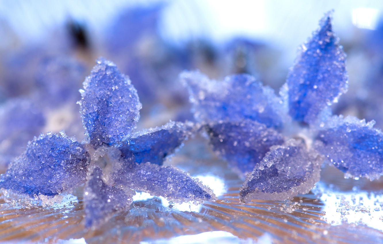 Wallpaper ice, water, macro, petals, frost, crystals image for desktop, section макро