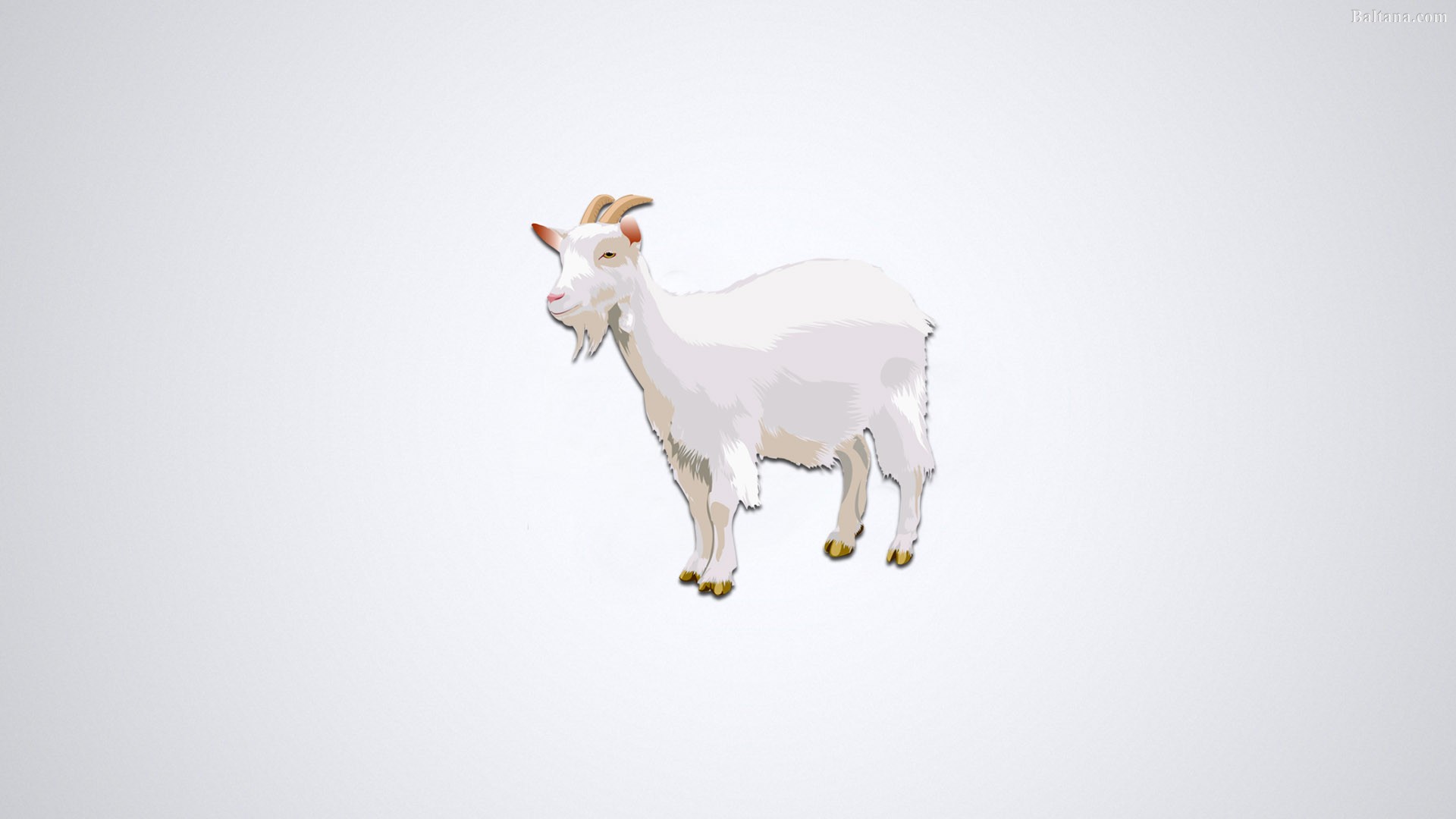 Goat HD Wallpaper 29818