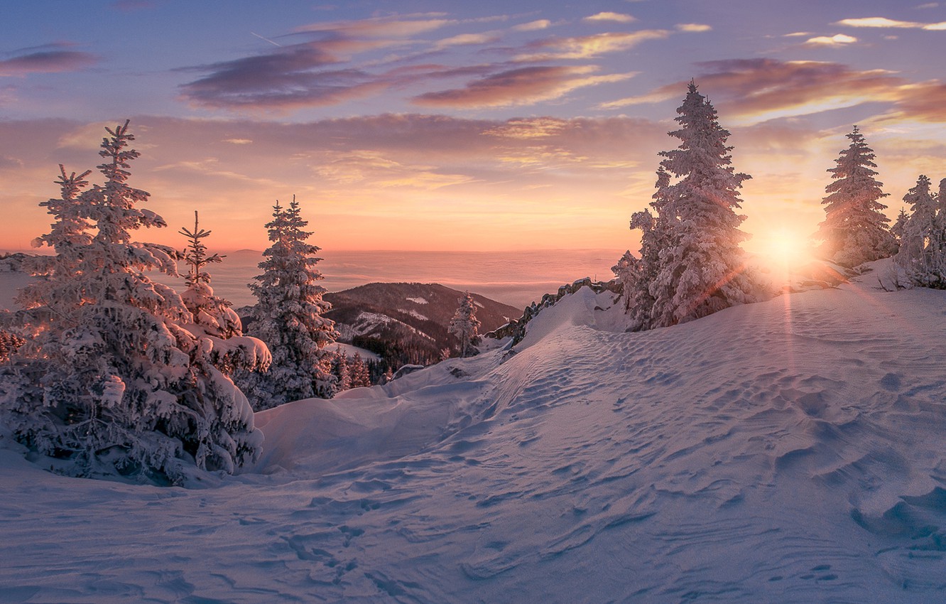 Wallpaper winter, snow, trees, sunset, ate, the snow image for desktop, section пейзажи