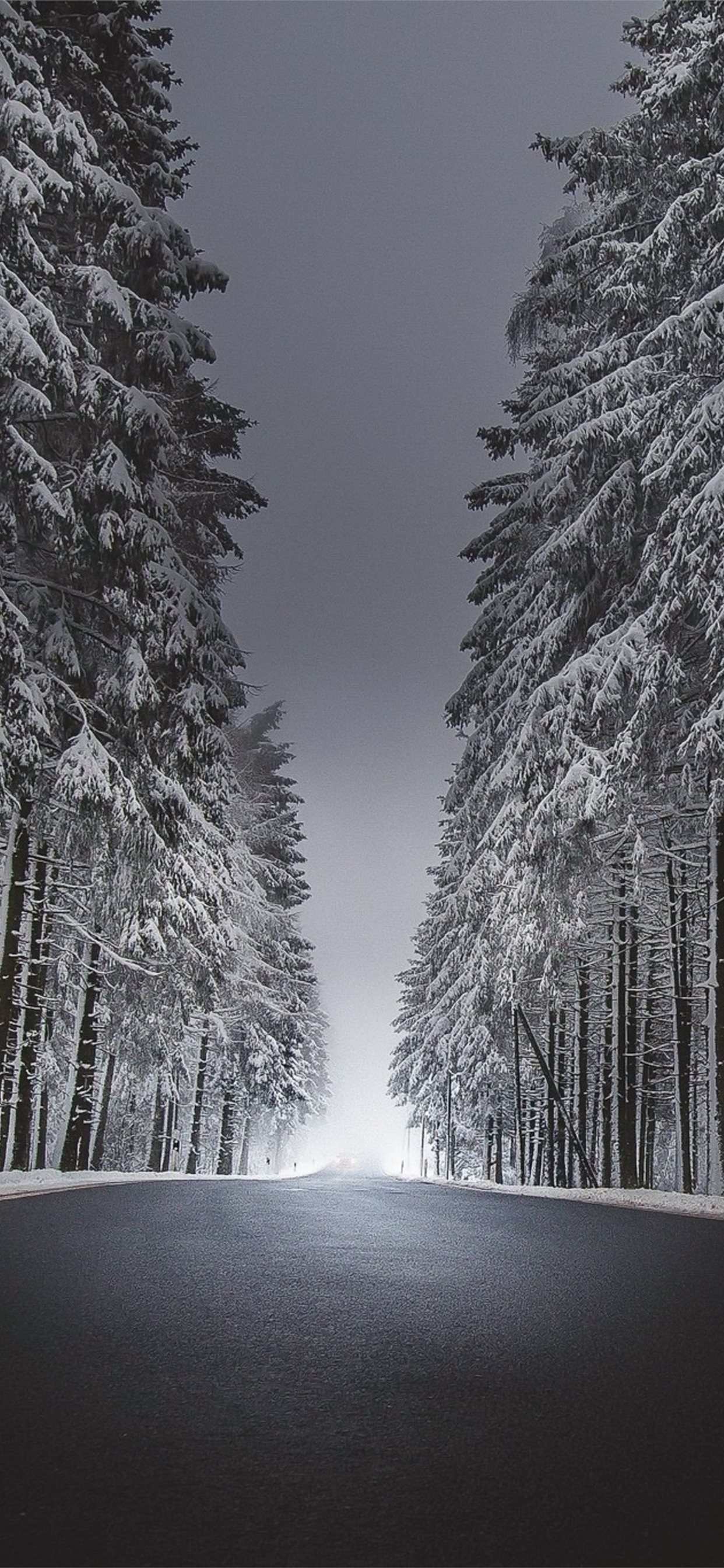 winter road asphalt snow iPhone 11 Wallpaper Free Download