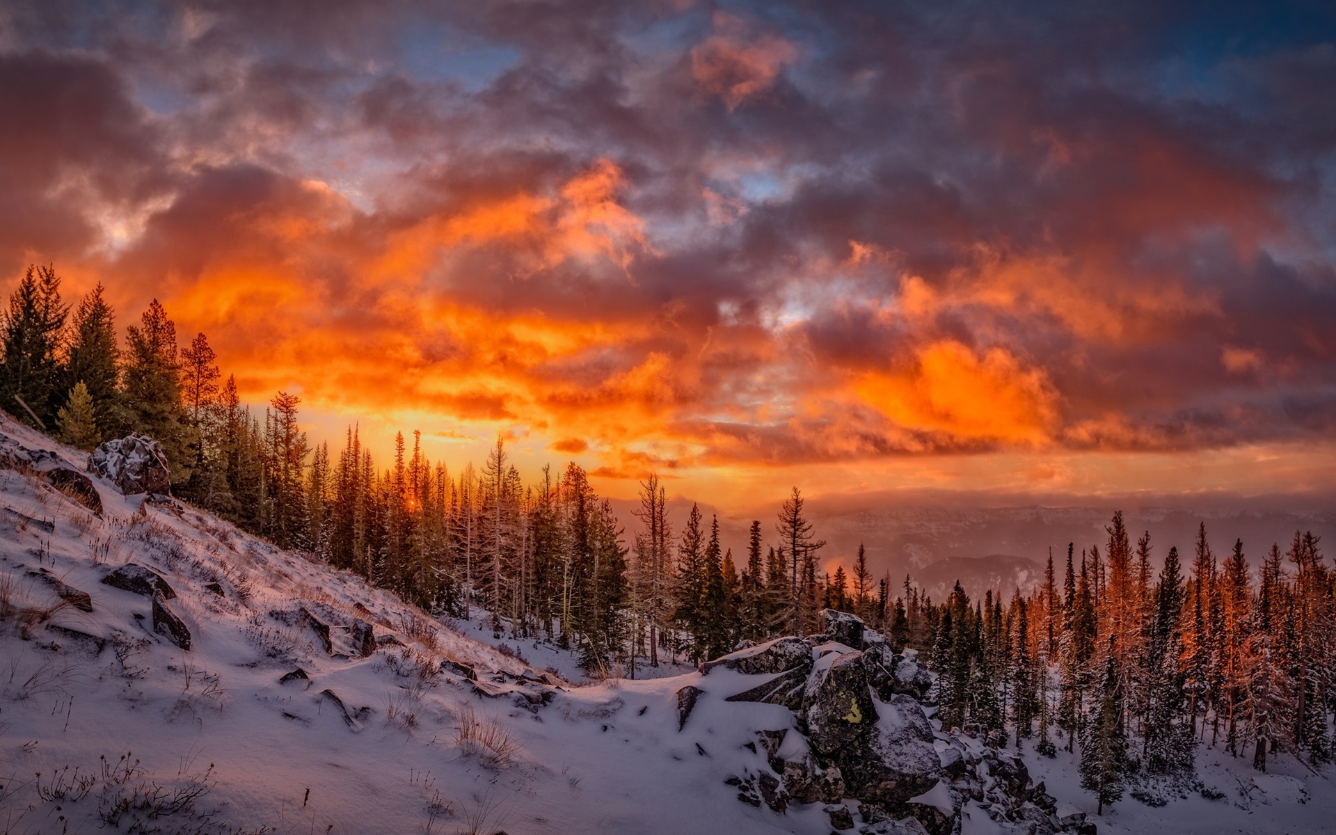 Wallpaper Beautiful winter, snow, trees, clouds, red sky, sunset 1920x1200 HD Picture, Image