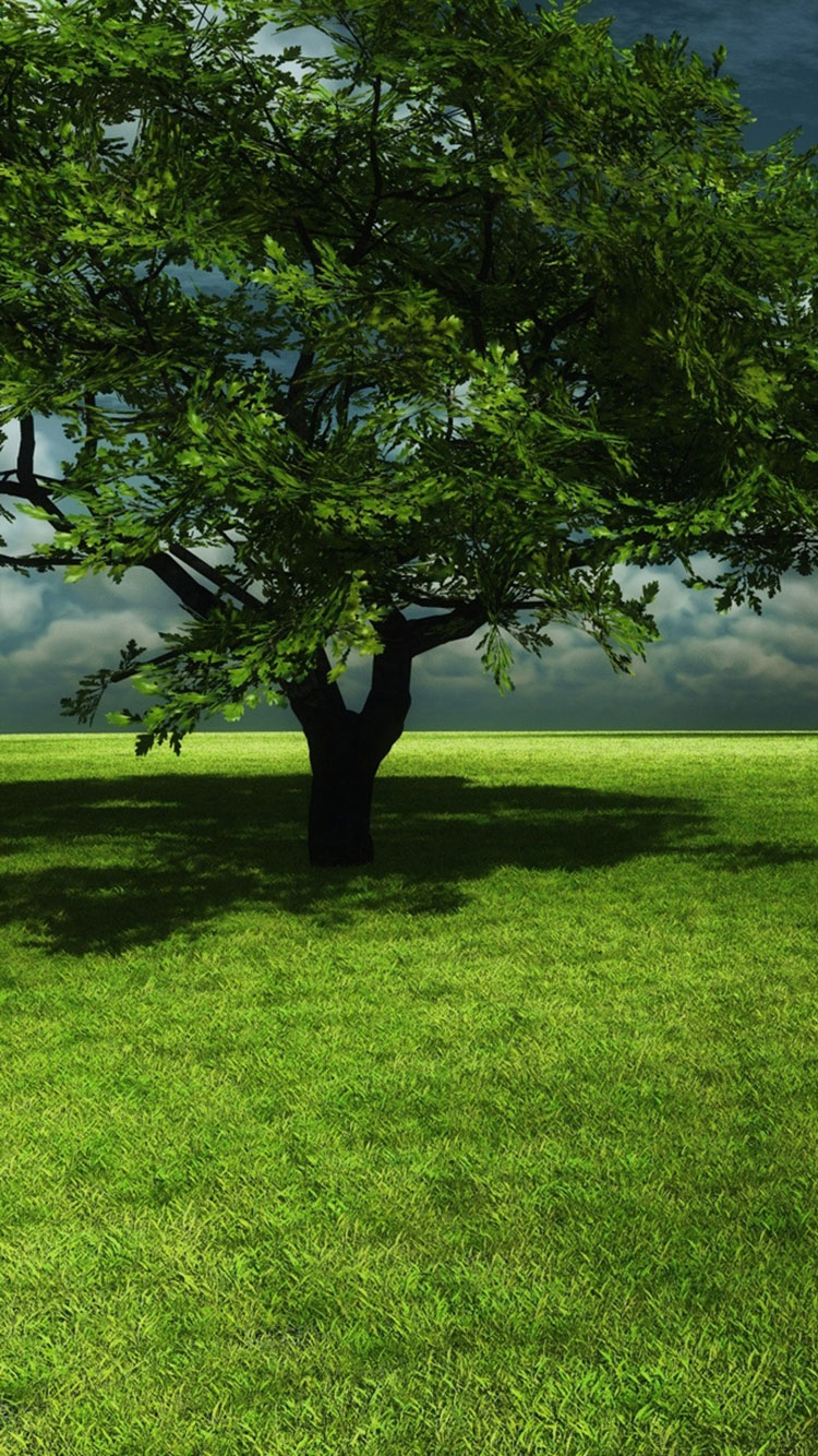spring iphone wallpaper, tree, natural landscape, green, nature, lawn